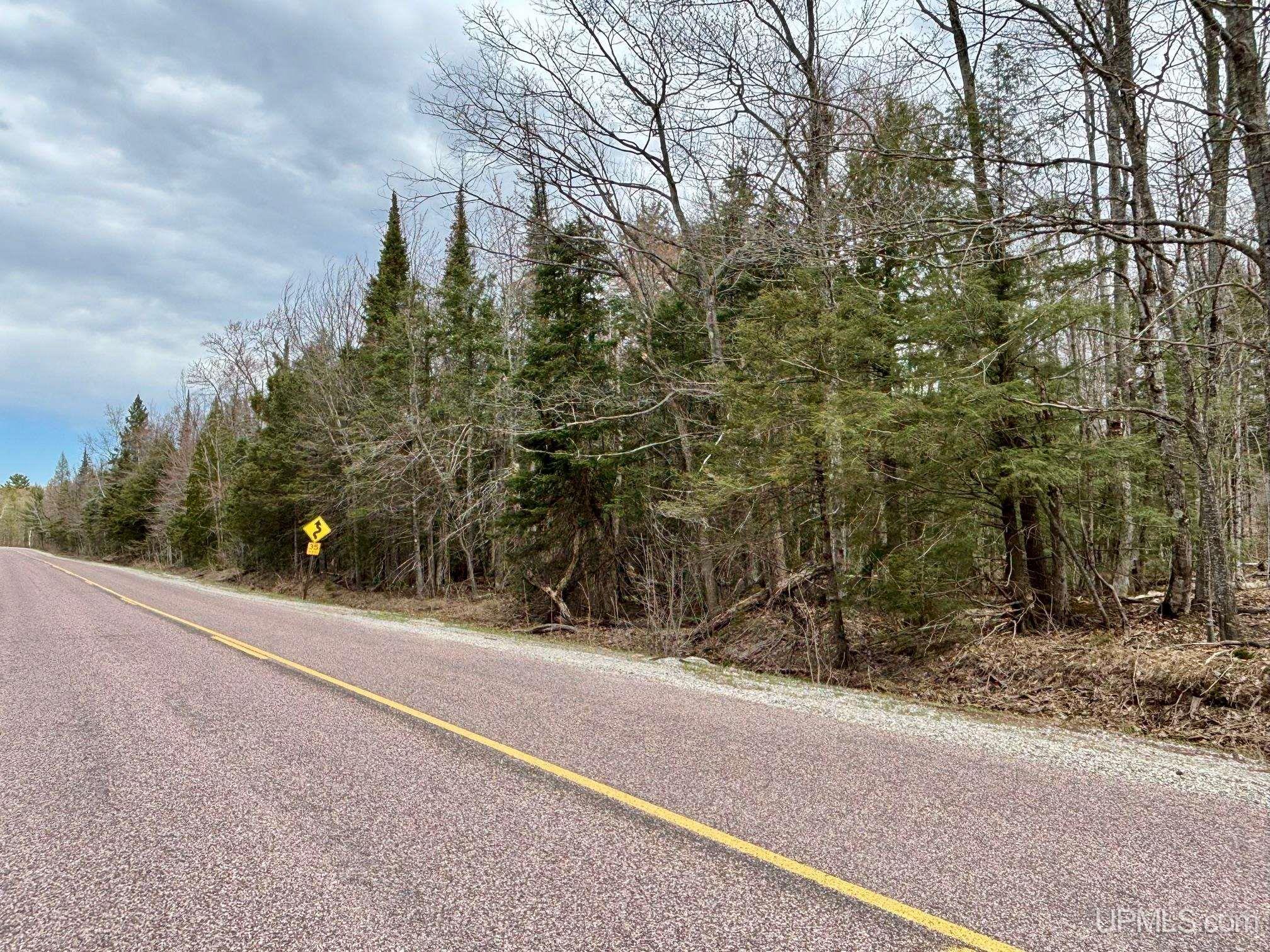 TBD N Carlshend Road, Skandia, MI, 49885