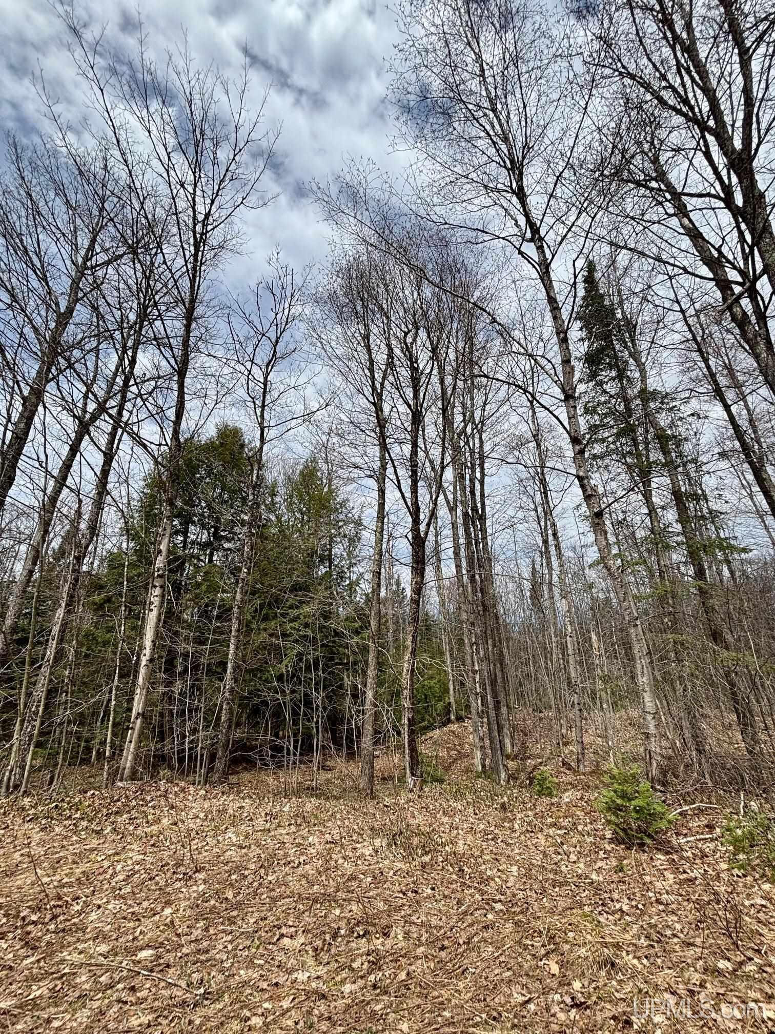 TBD N Carlshend Road, Skandia, MI, 49885