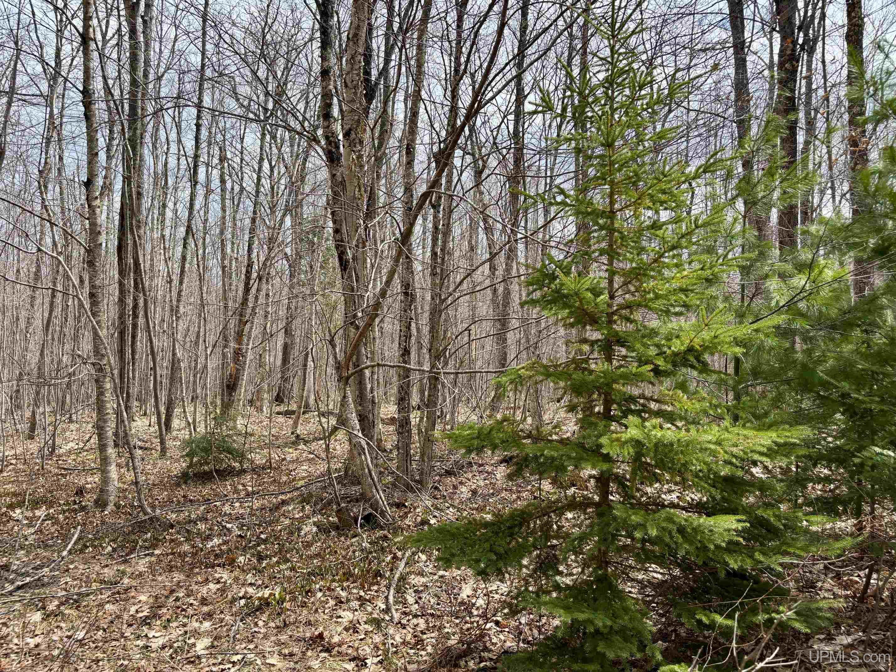 TBD N Carlshend Road, Skandia, MI, 49885