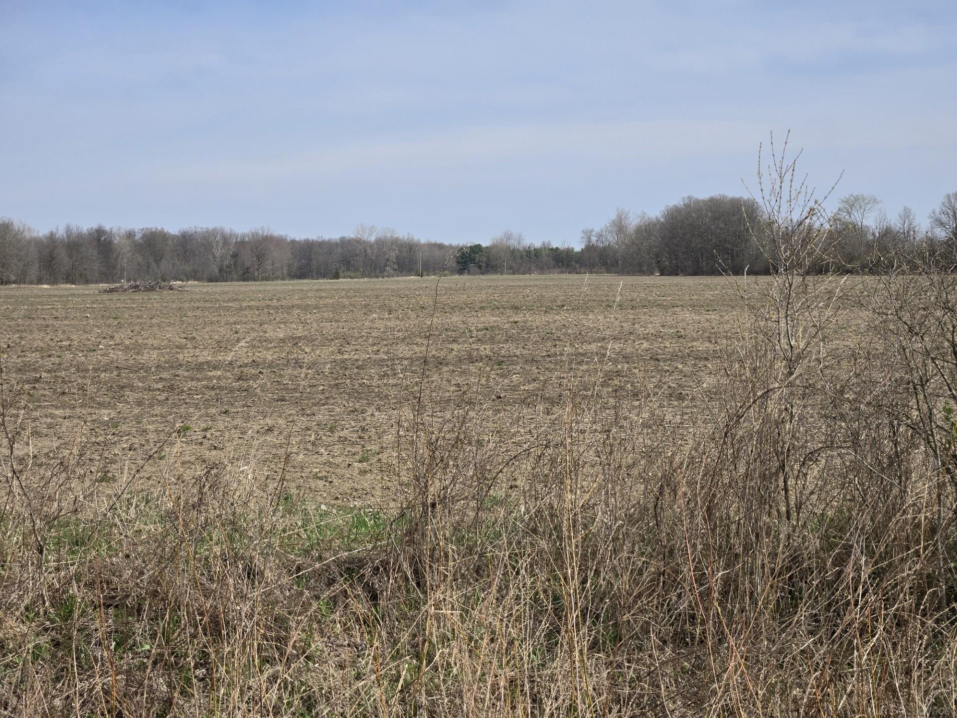 0 Weber (Lot B) Road, Richmond Twp, MI, 48063