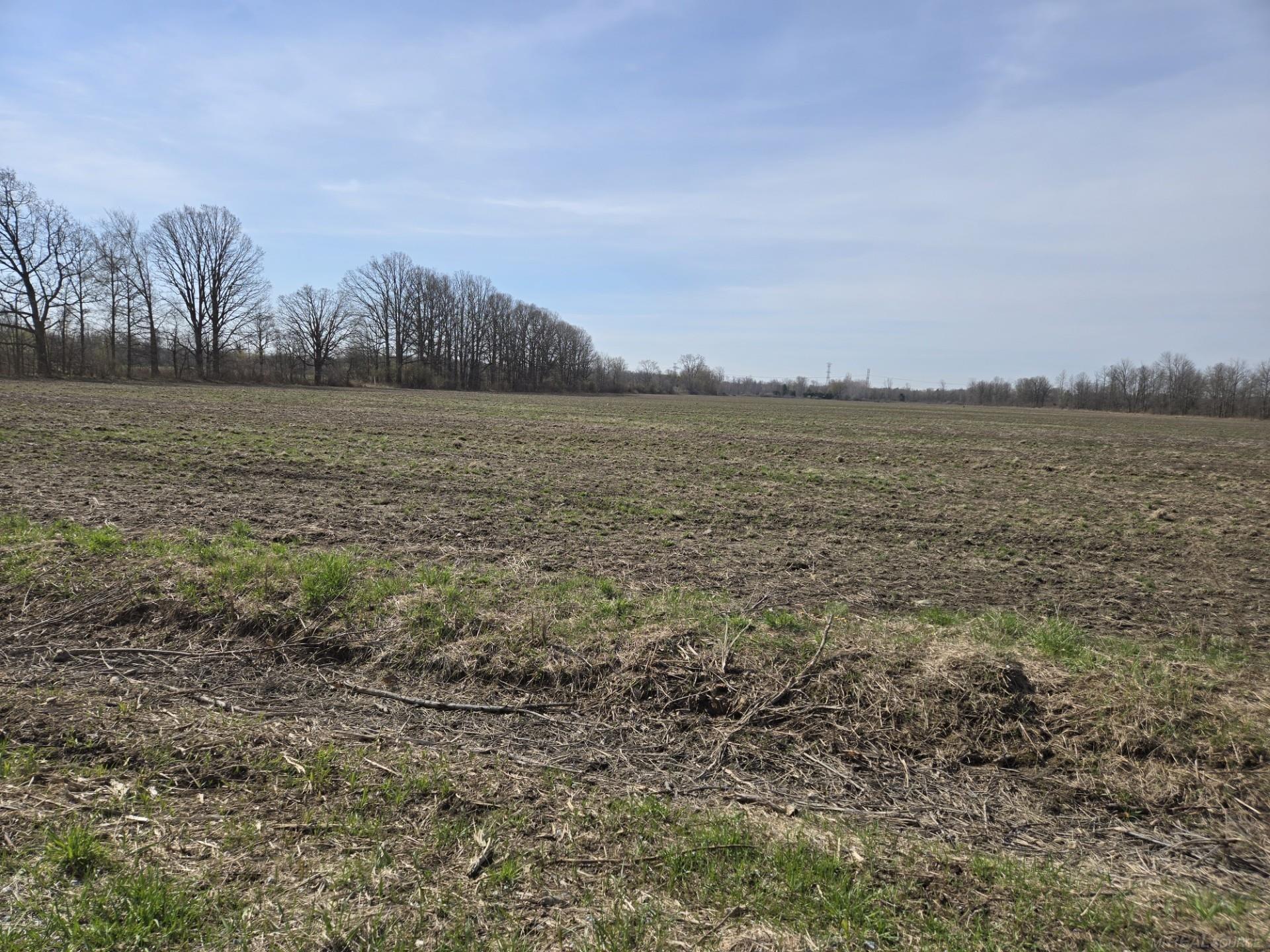0 Weber (Lot B) Road, Richmond Twp, MI, 48063