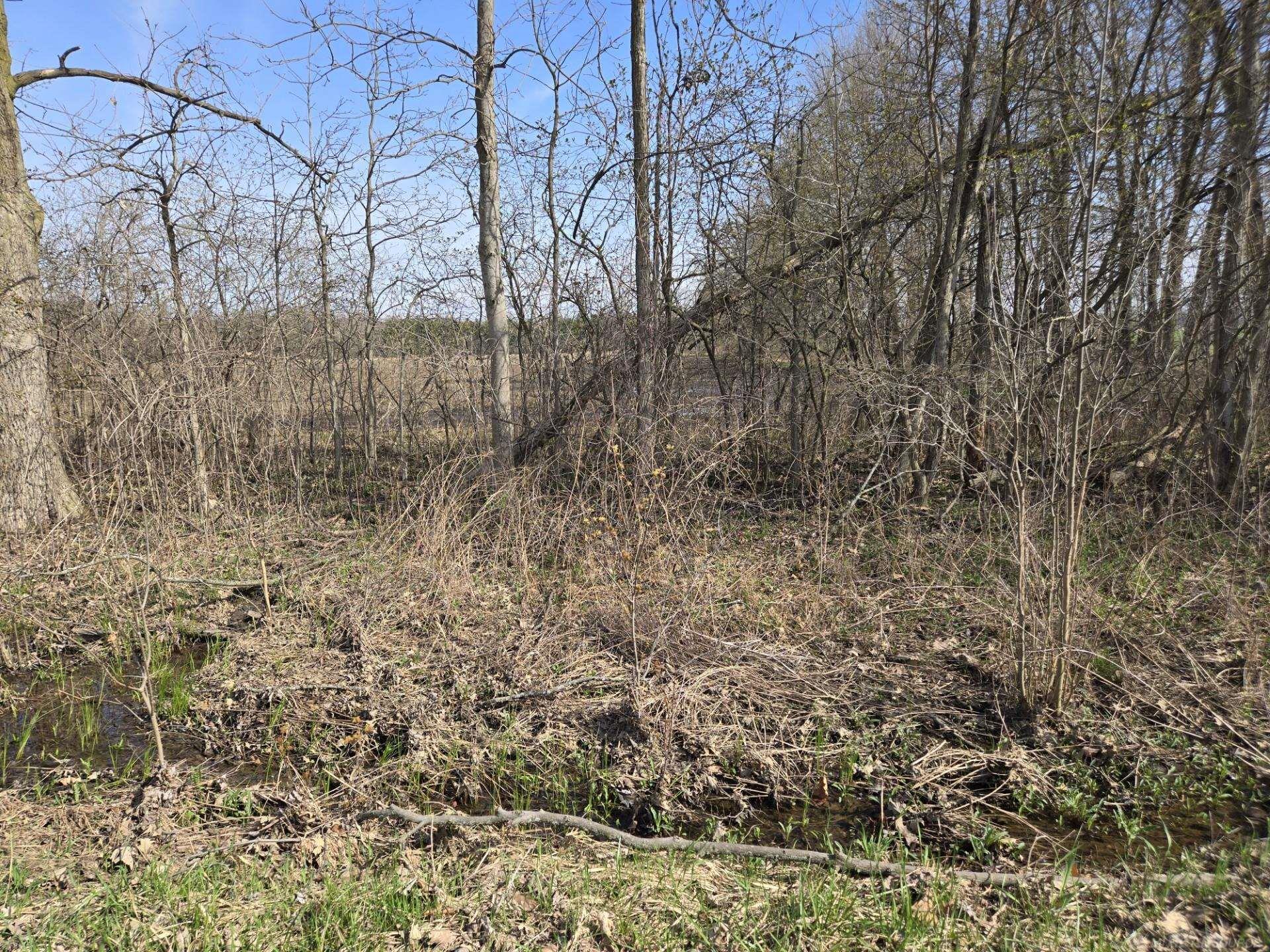 0 Weber (Lot B) Road, Richmond Twp, MI, 48063