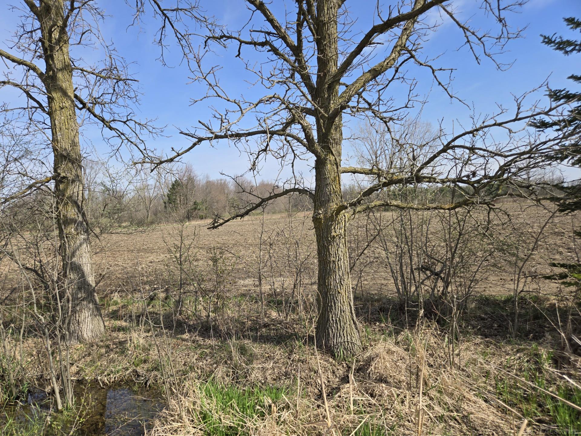 0 Weber (Lot B) Road, Richmond Twp, MI, 48063