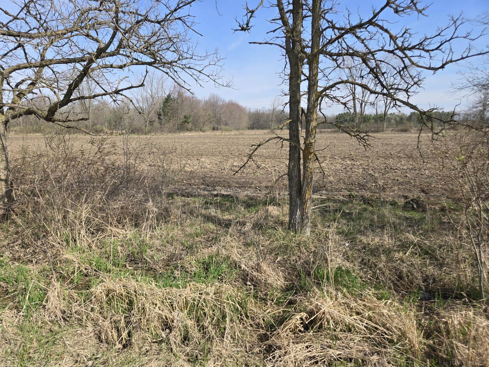 0 Weber (Lot B) Road, Richmond Twp, MI, 48063