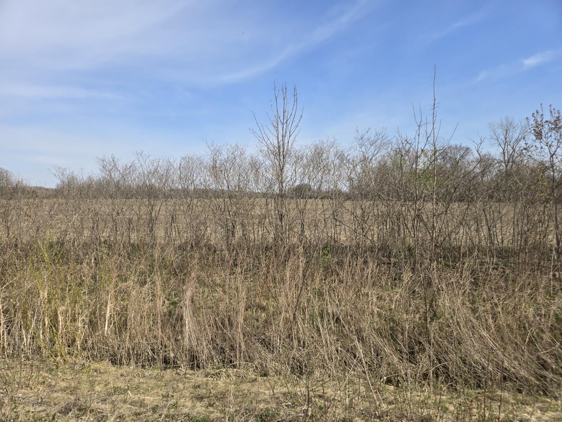 0 Weber (Lot B) Road, Richmond Twp, MI, 48063