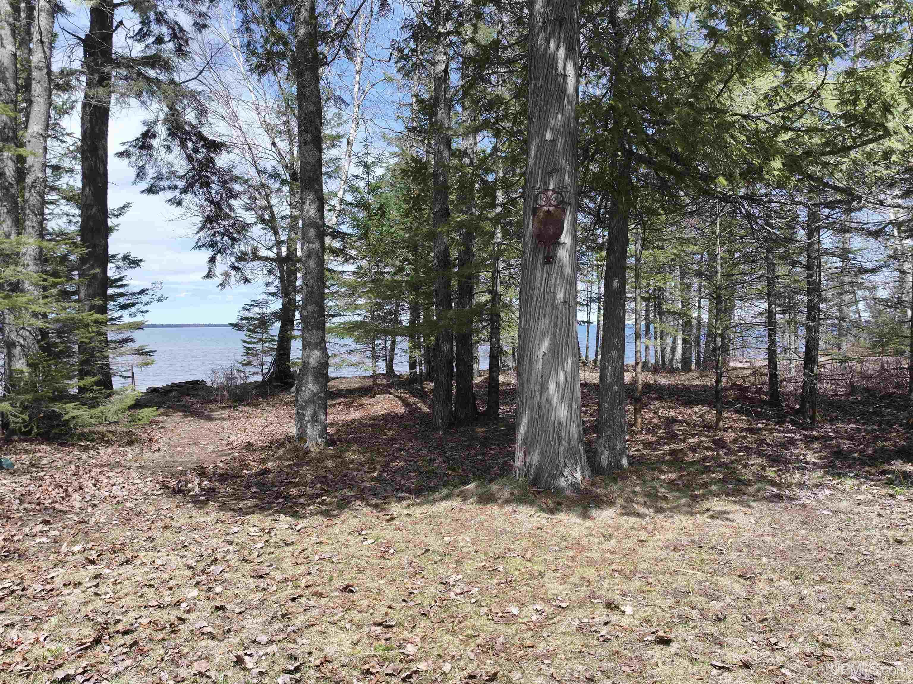 MLS 50206522 Large photo number 25 