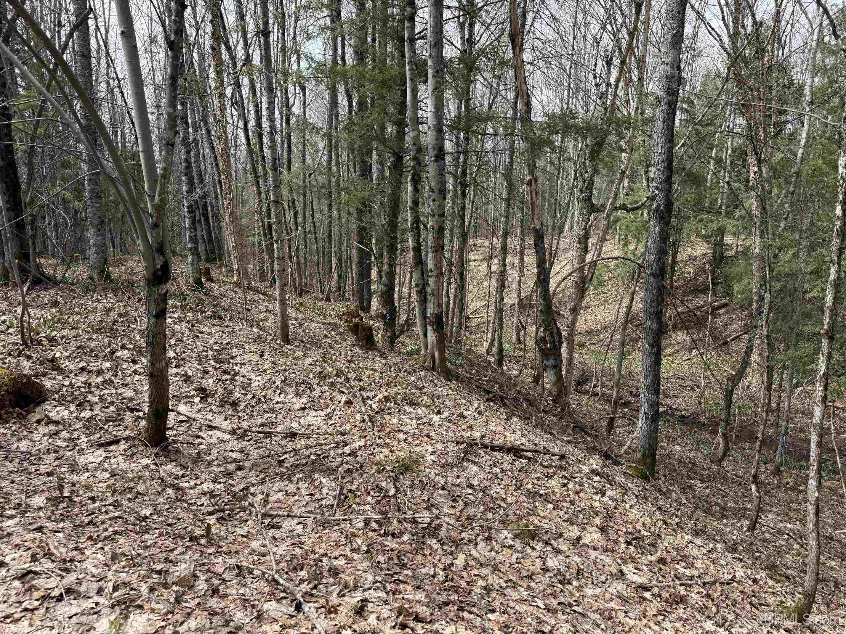37373 Crooked Road, Chassell, MI, 49916