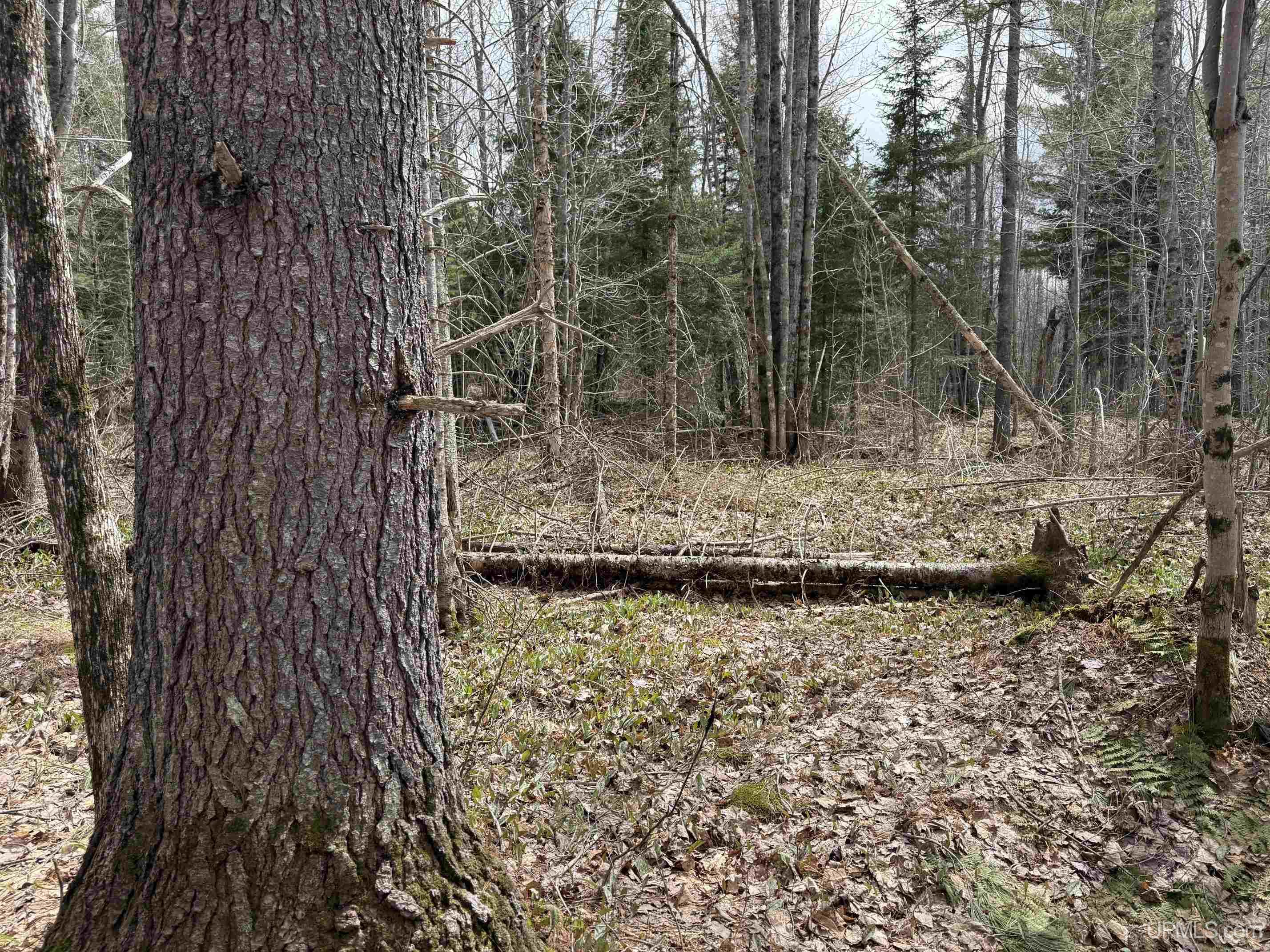 37373 Crooked Road, Chassell, MI, 49916