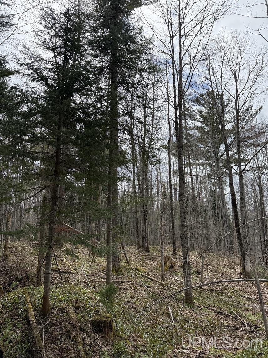 37373 Crooked Road, Chassell, MI, 49916