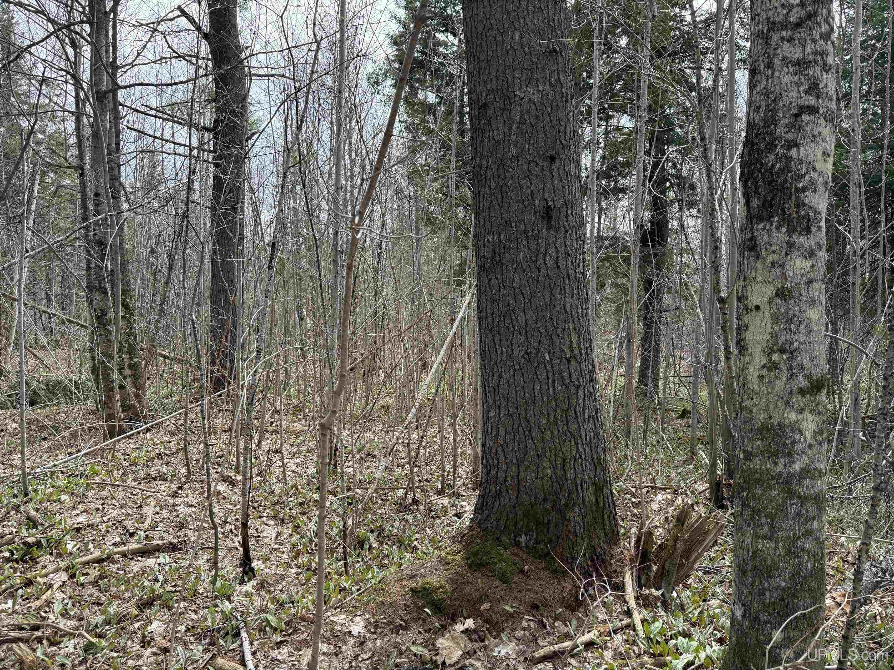 37373 Crooked Road, Chassell, MI, 49916