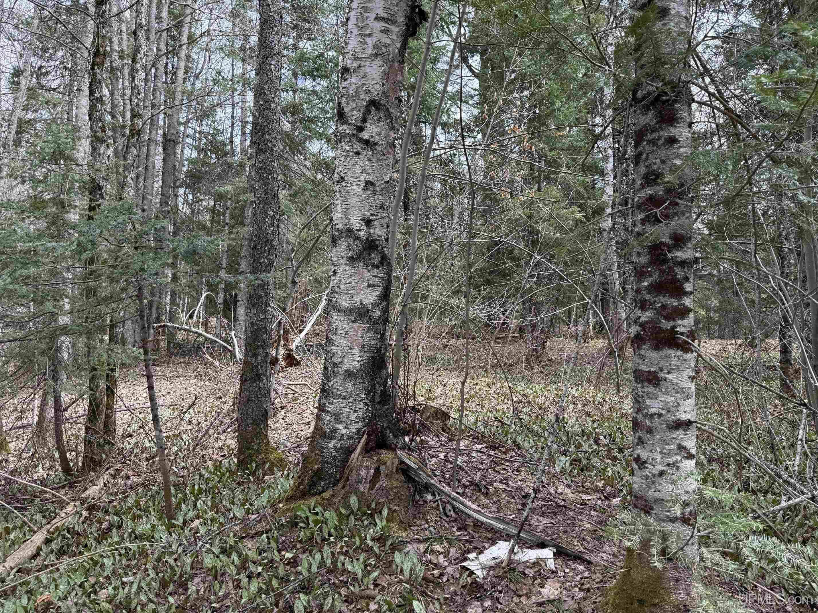 37373 Crooked Road, Chassell, MI, 49916