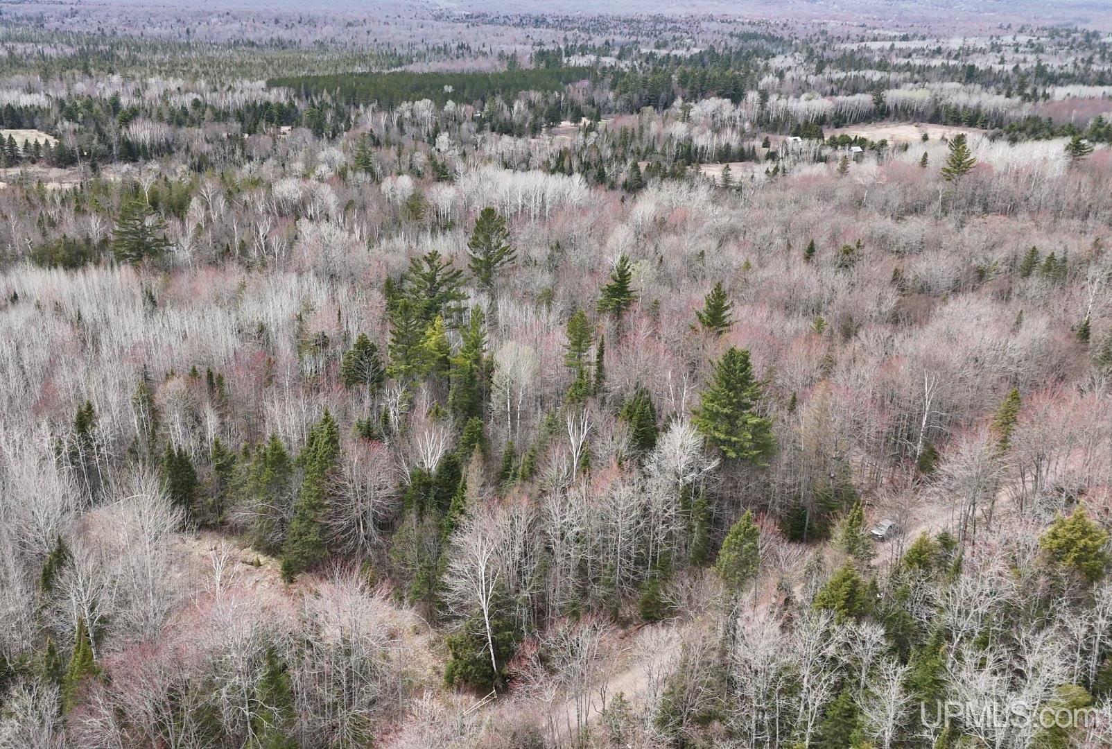 37373 Crooked Road, Chassell, MI, 49916