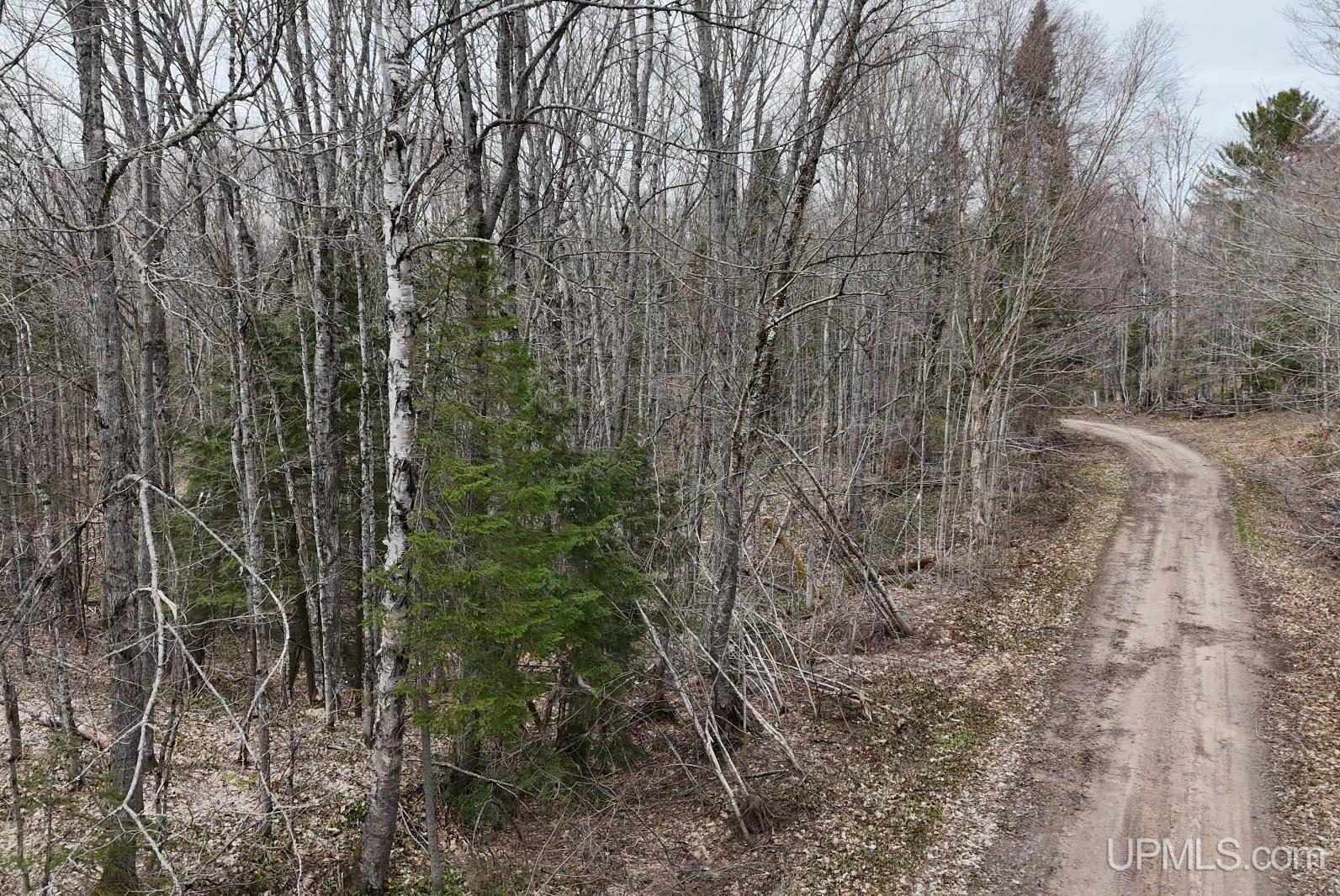 37373 Crooked Road, Chassell, MI, 49916