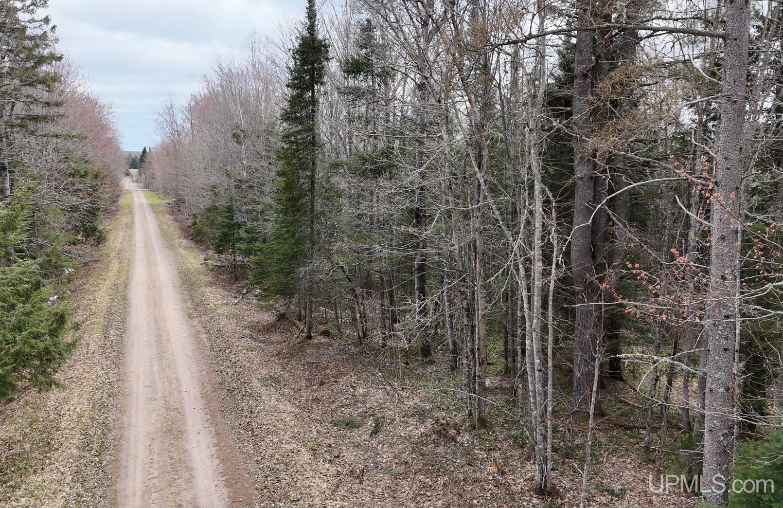 37373 Crooked Road, Chassell, MI, 49916
