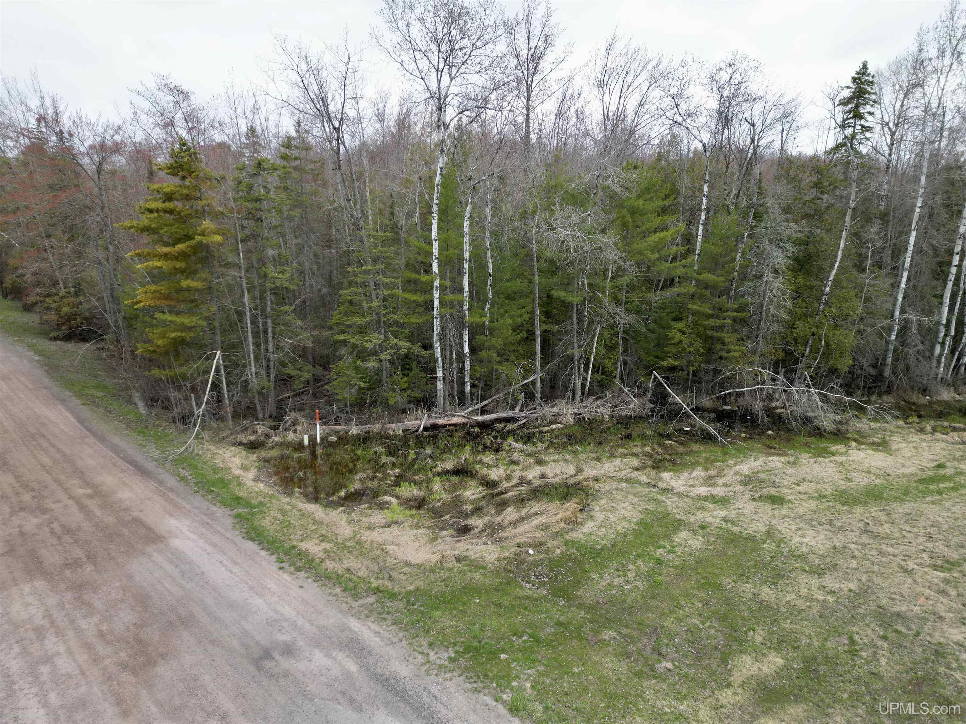 TBD Us 41/Beartown Road, Baraga, MI, 49908