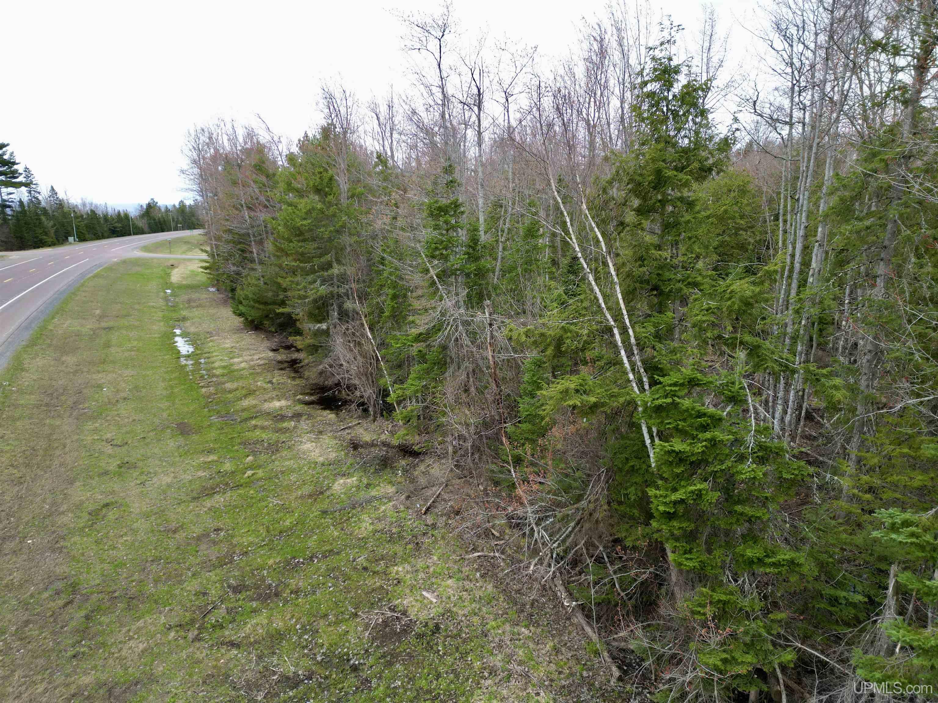 TBD Us 41/Beartown Road, Baraga, MI, 49908