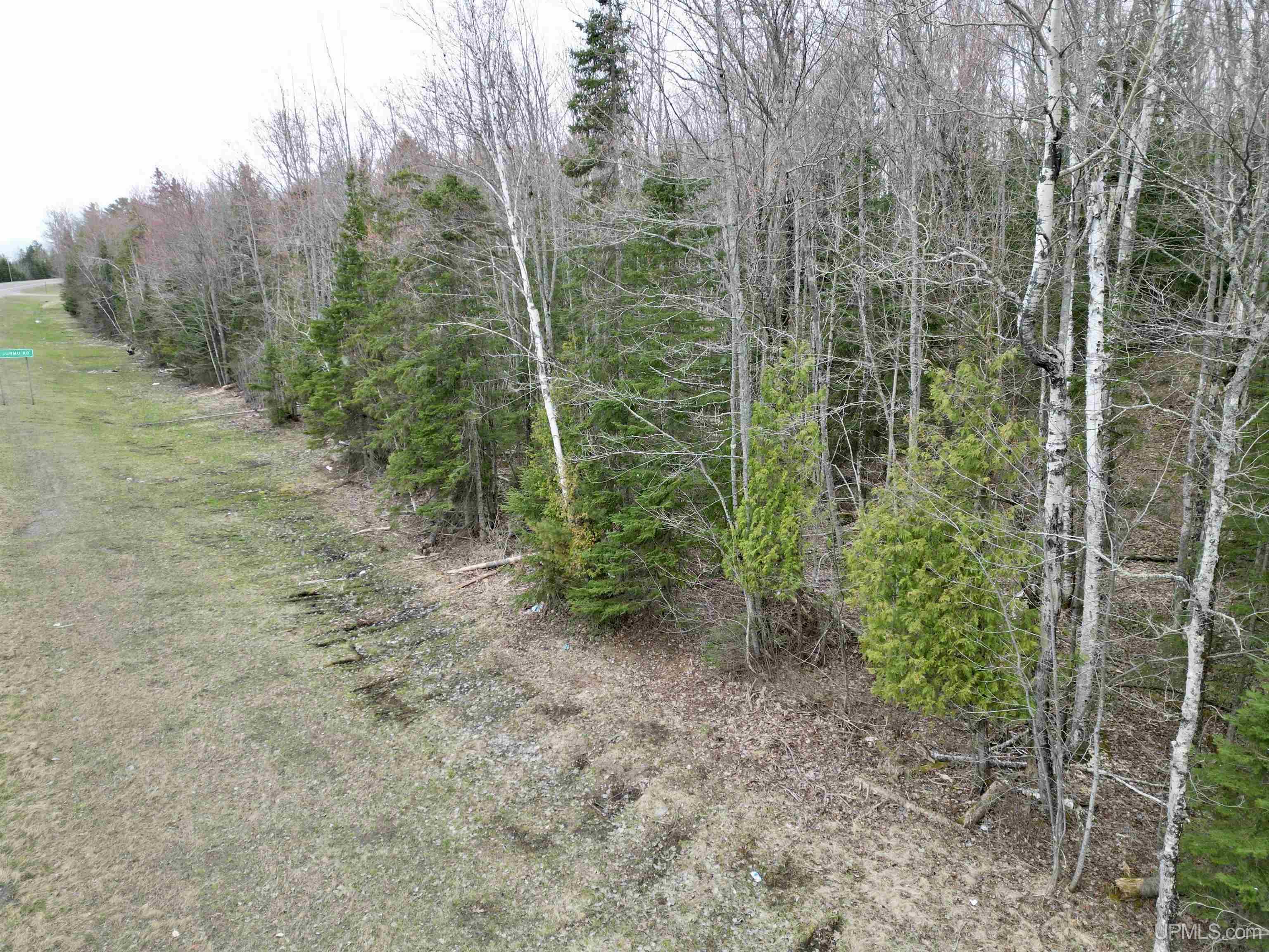 TBD Us 41/Beartown Road, Baraga, MI, 49908