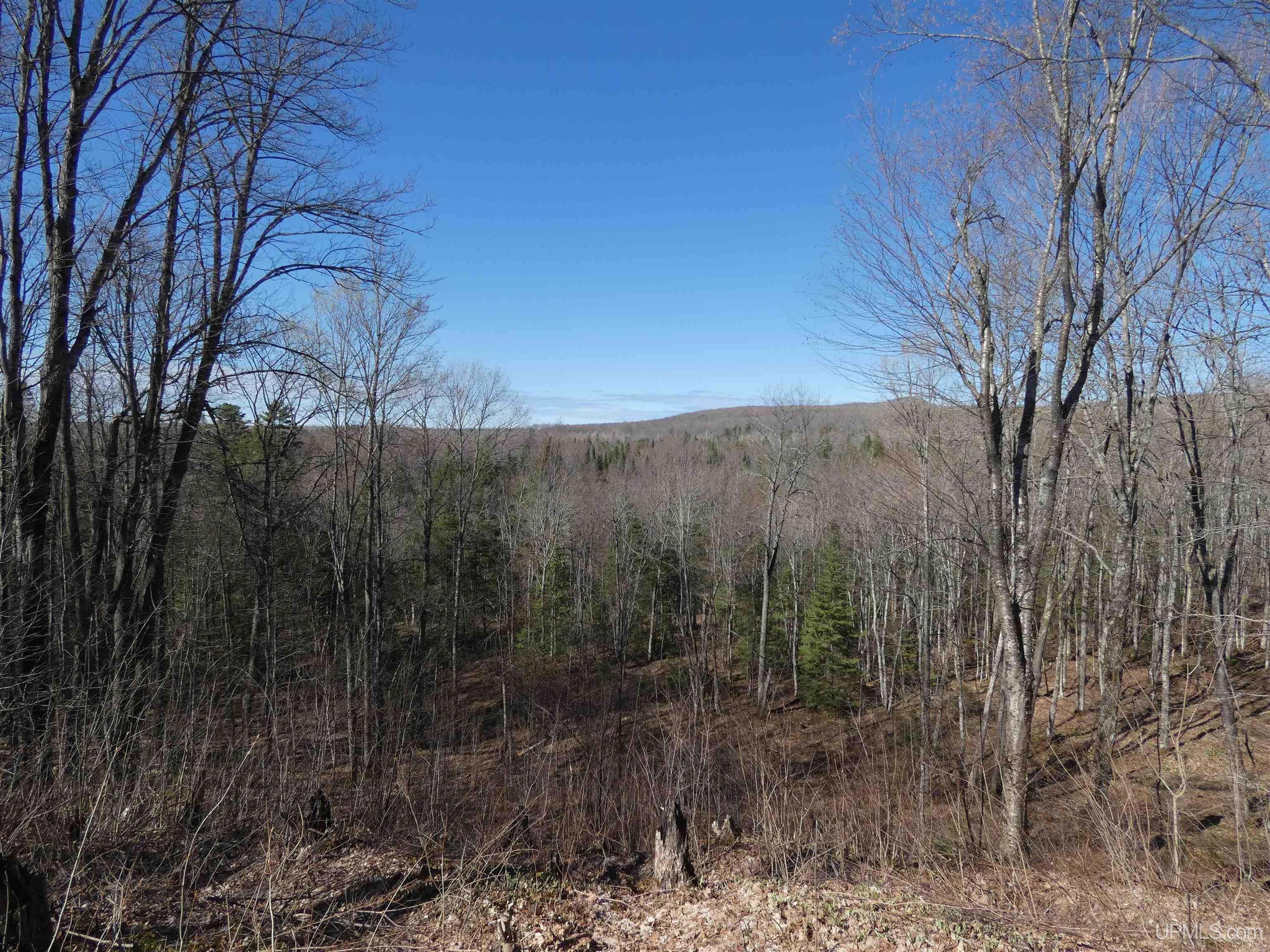 MLS 50206720 Large photo number 25 