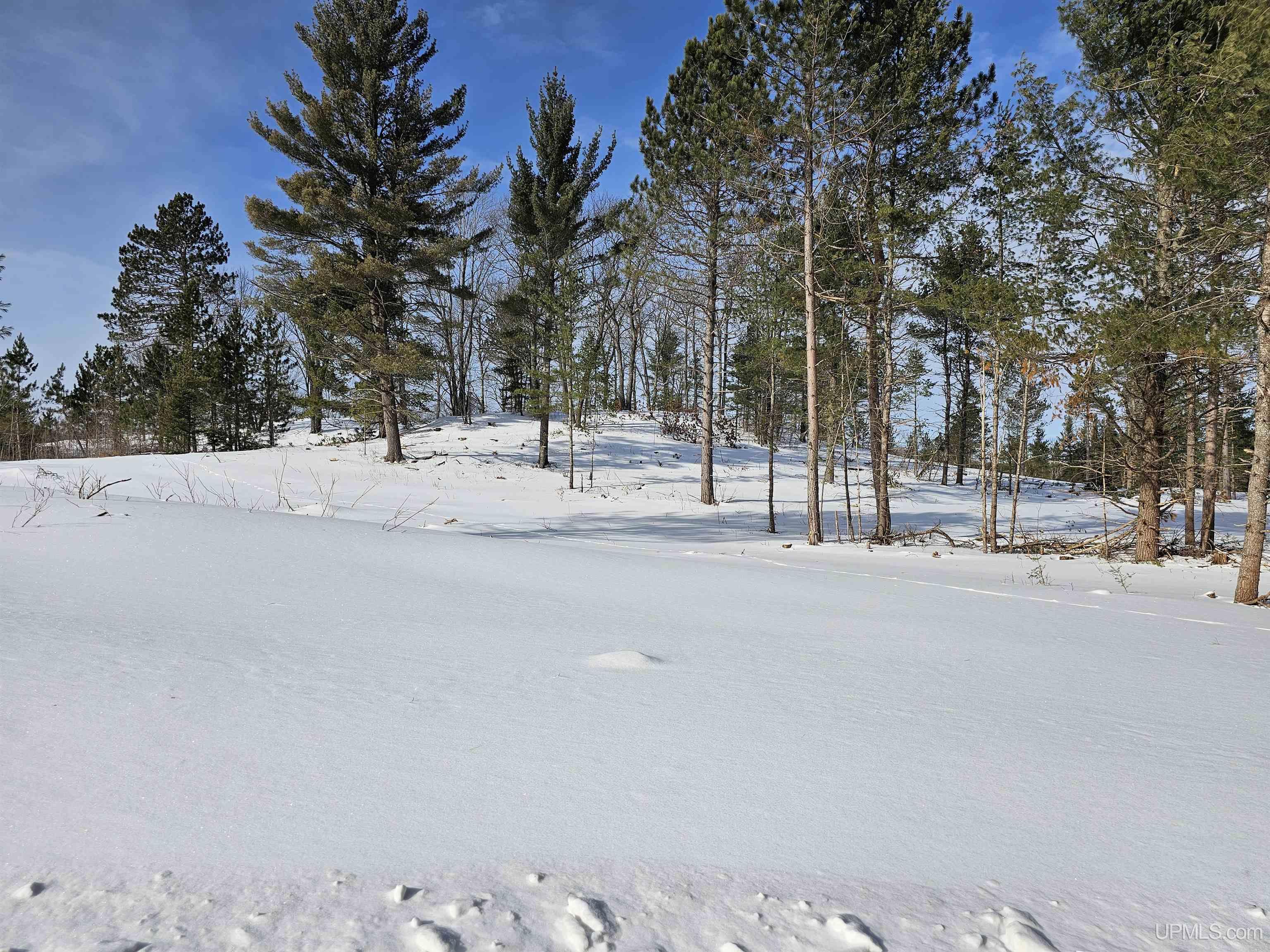 3649 Tulipleaf Drive, Holland, MI, 49424