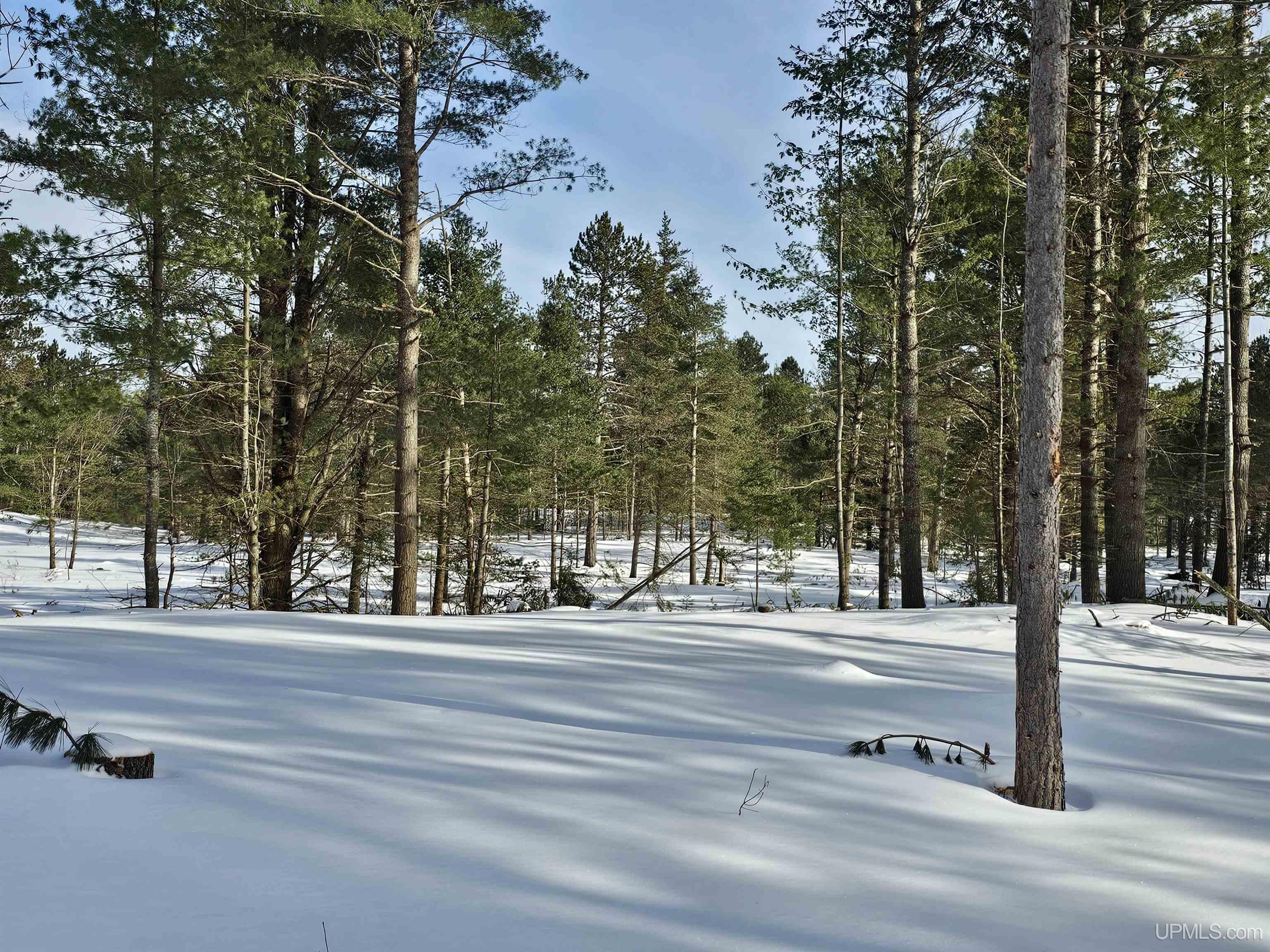 tbd 75.5 Acres Off Co Rd Cf Road, Ishpeming, MI, 49849