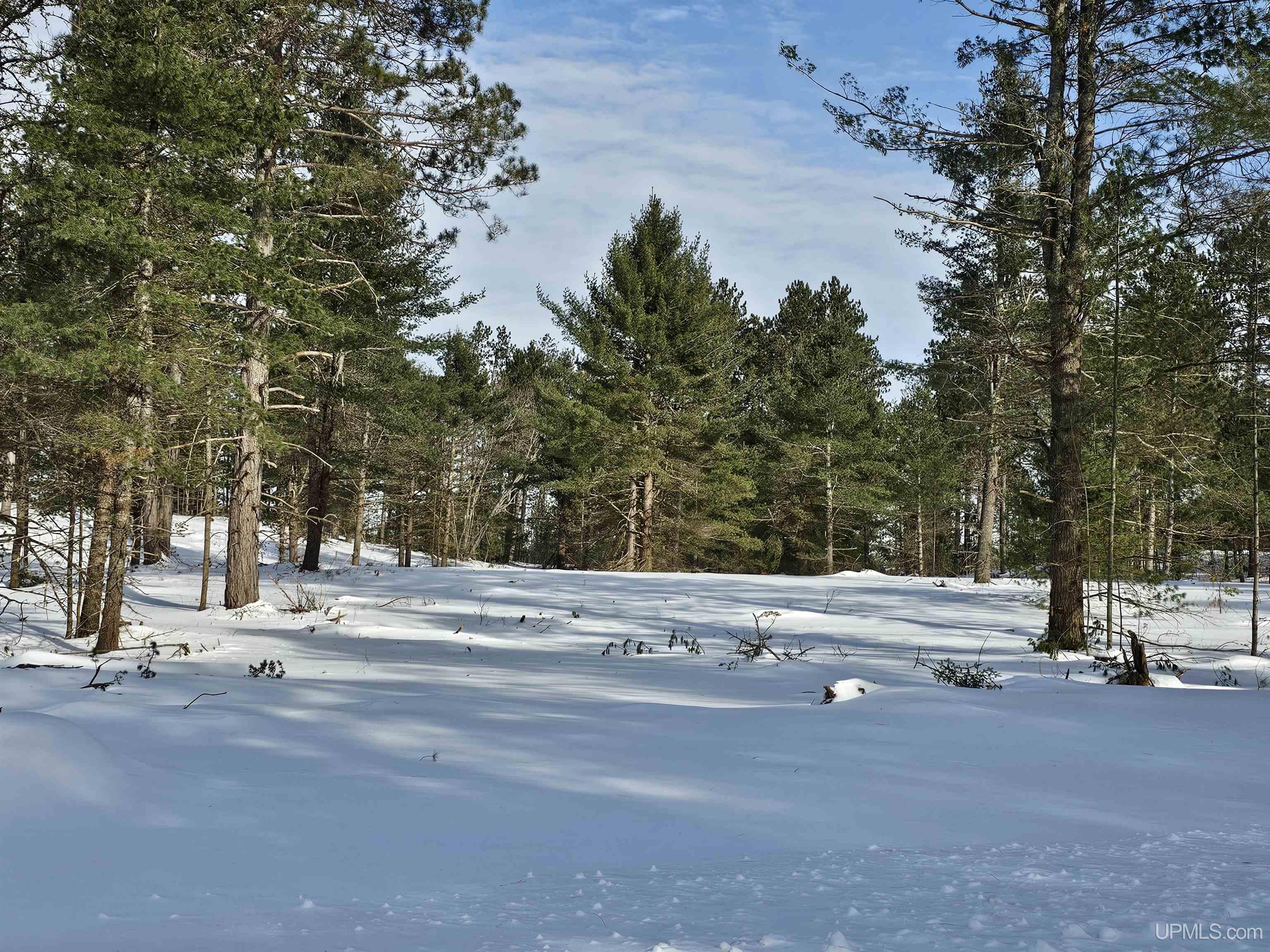 tbd 75.5 Acres Off Co Rd Cf Road, Ishpeming, MI, 49849