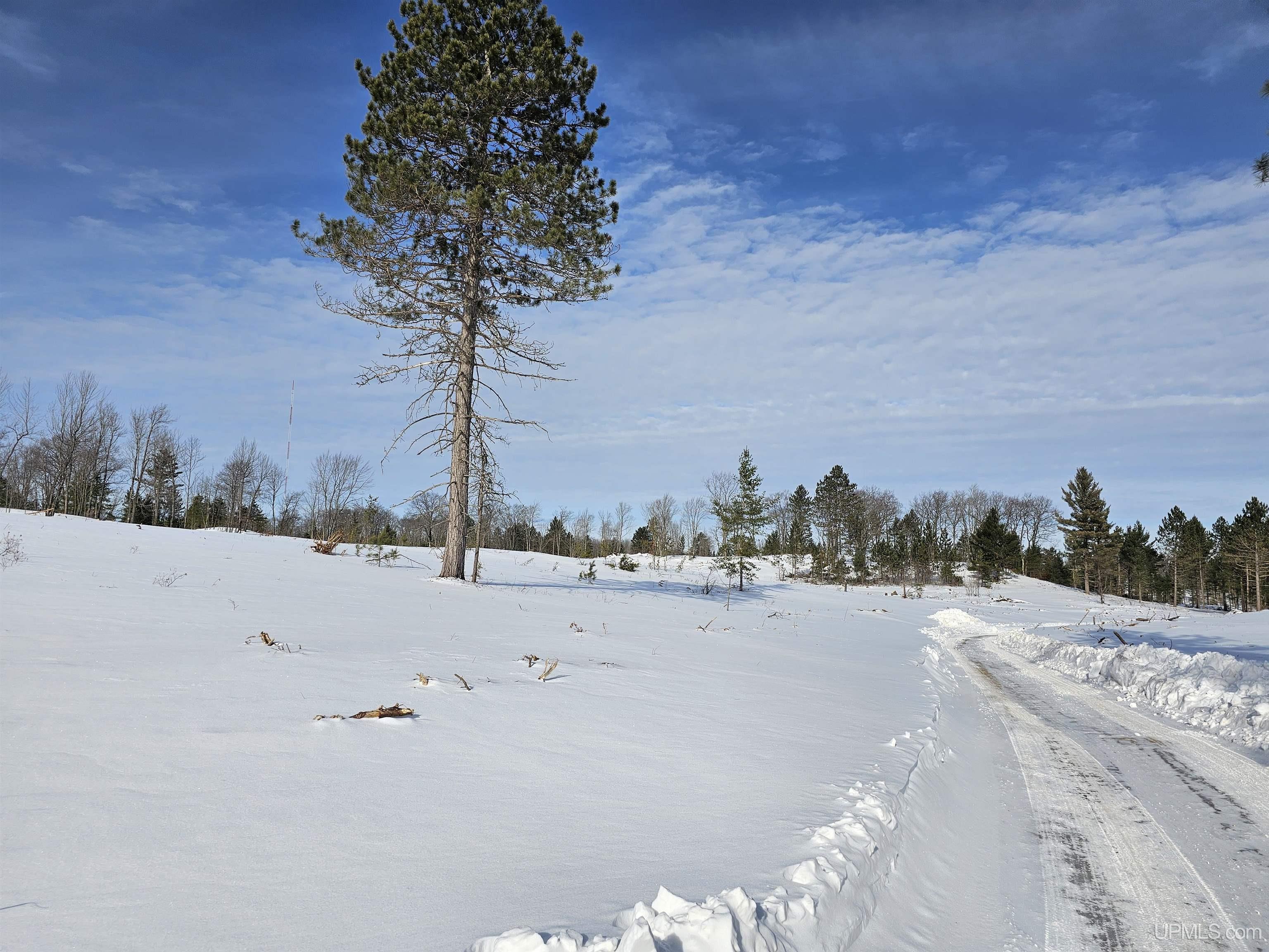 tbd 75.5 Acres Off Co Rd Cf Road, Ishpeming, MI, 49849
