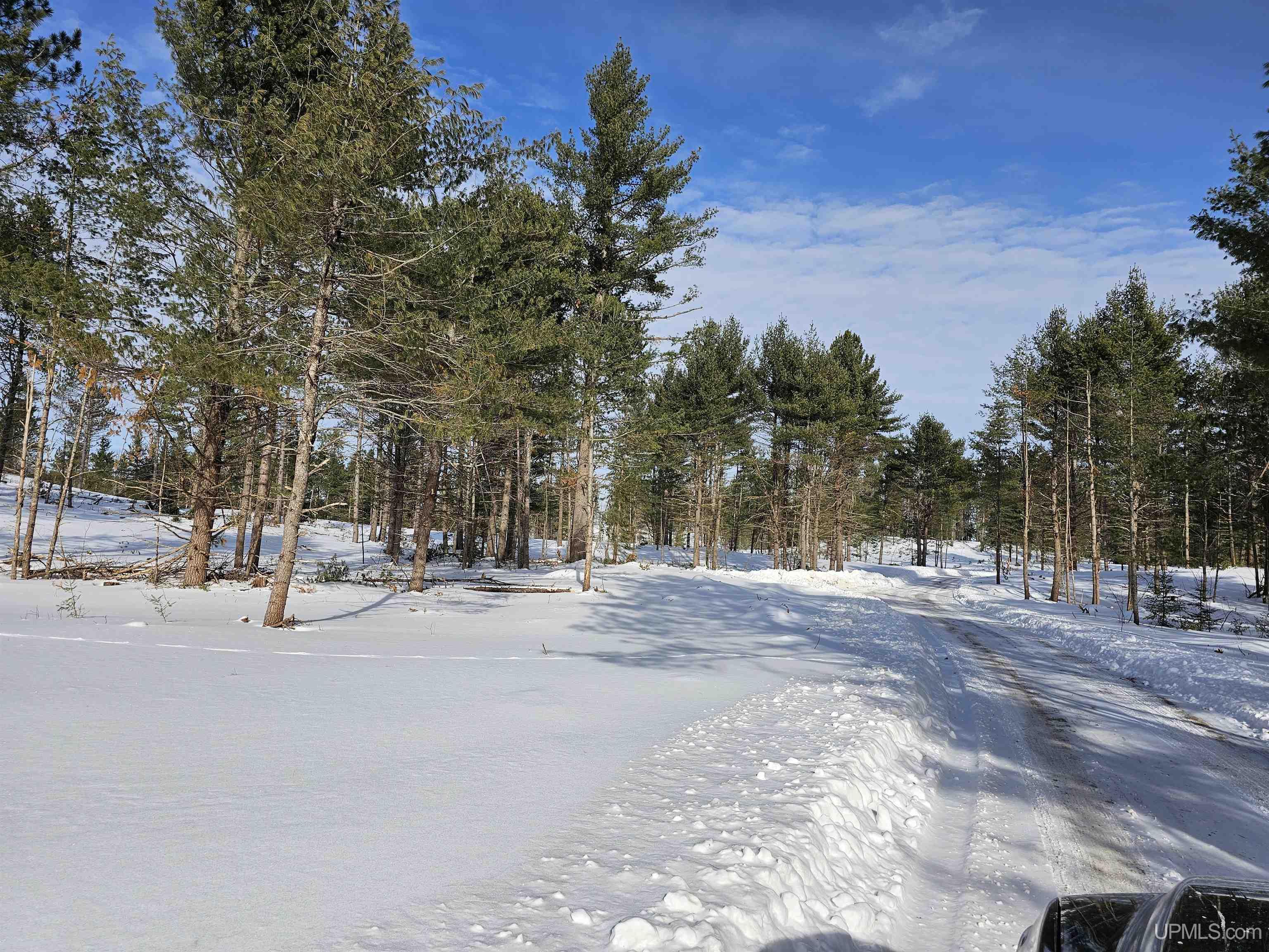 tbd 75.5 Acres Off Co Rd Cf Road, Ishpeming, MI, 49849