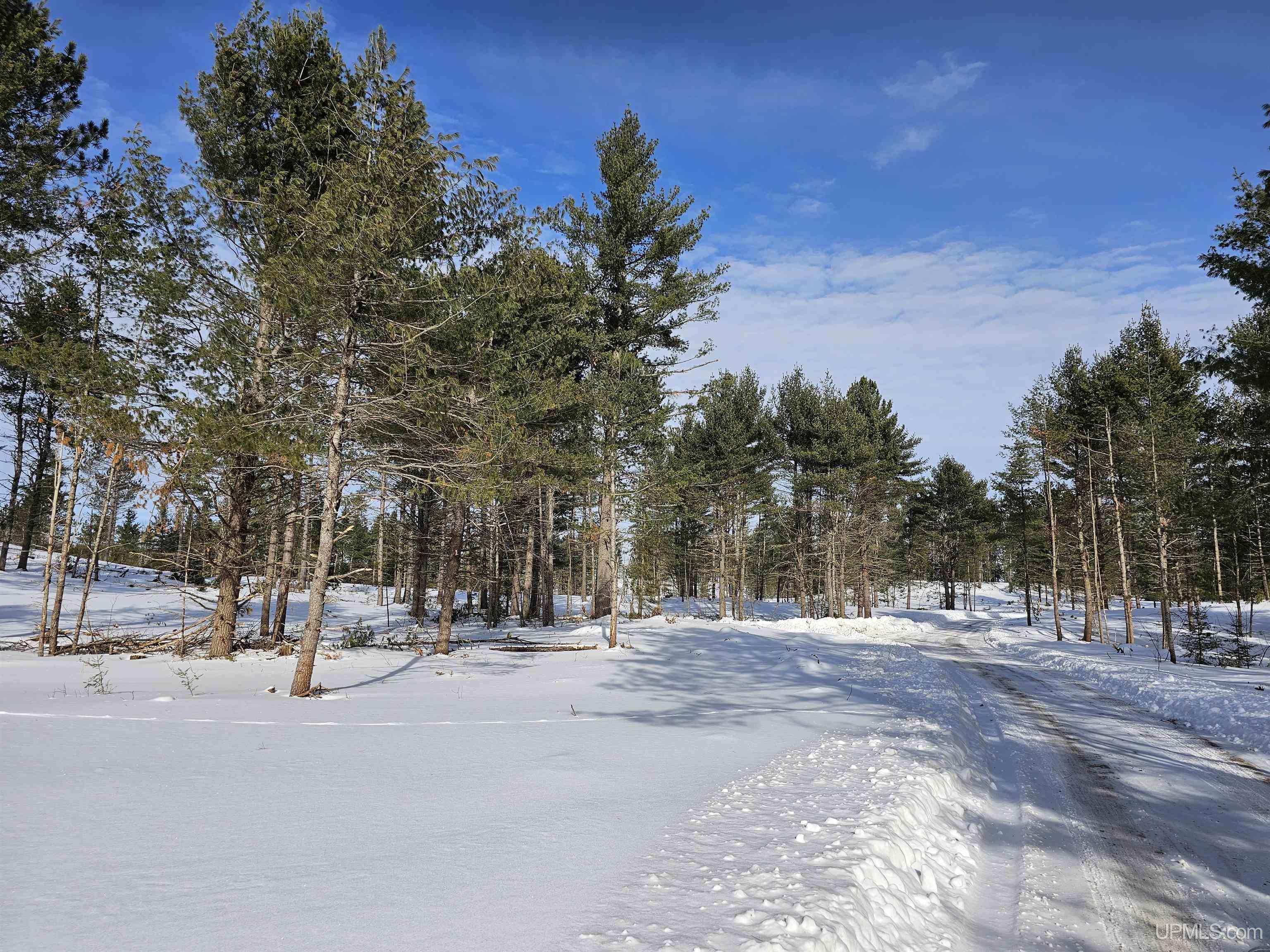 tbd 75.5 Acres Off Co Rd Cf Road, Ishpeming, MI, 49849