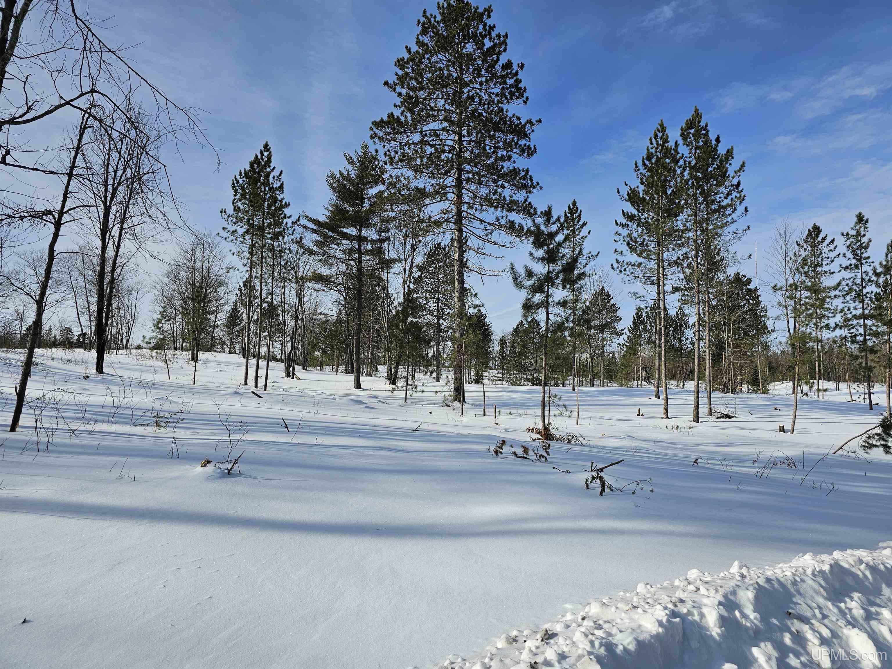 tbd 75.5 Acres Off Co Rd Cf Road, Ishpeming, MI, 49849