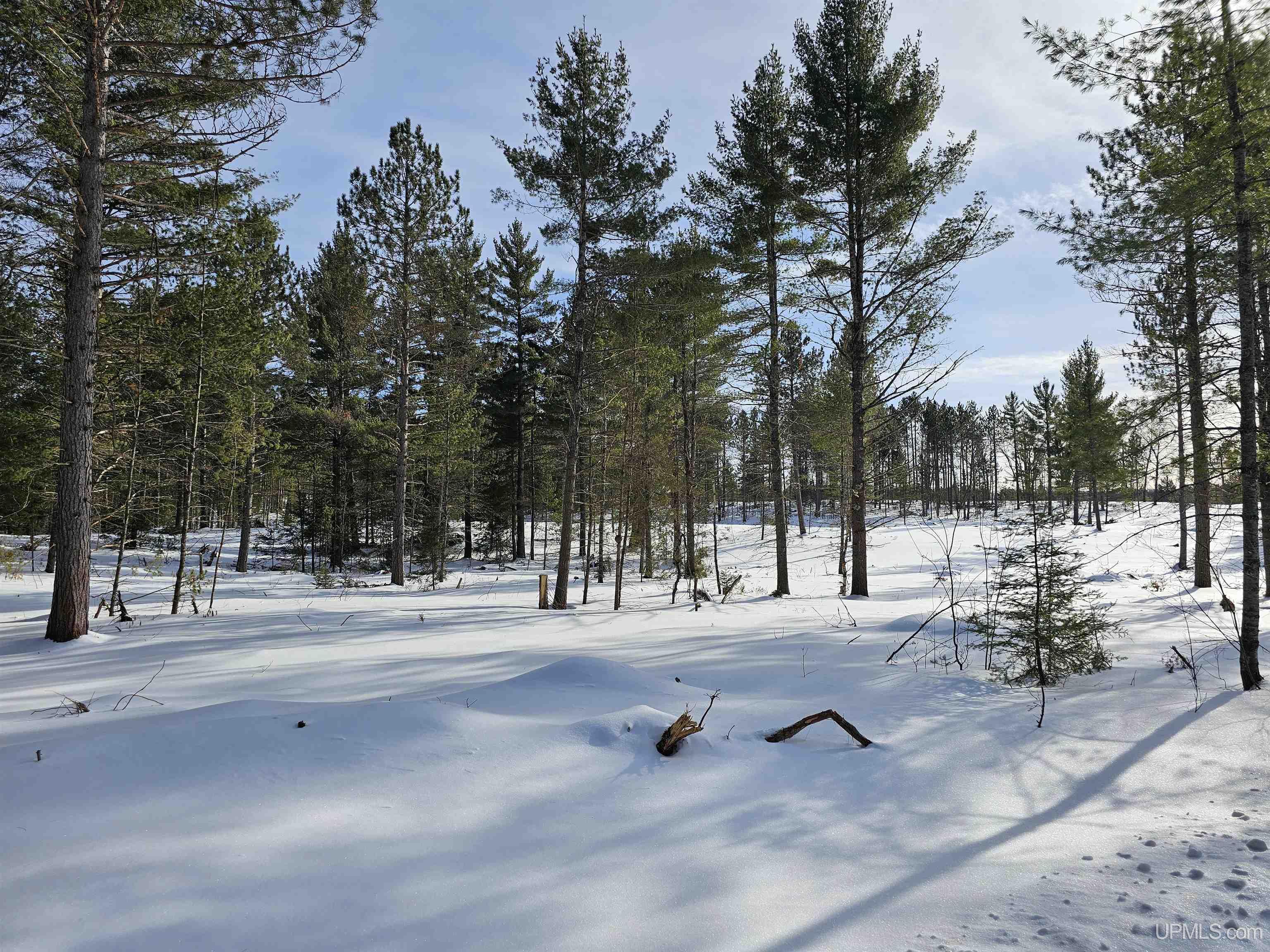 tbd 220 Acres Off Co Rd Cf Road, Ishpeming, MI, 49849