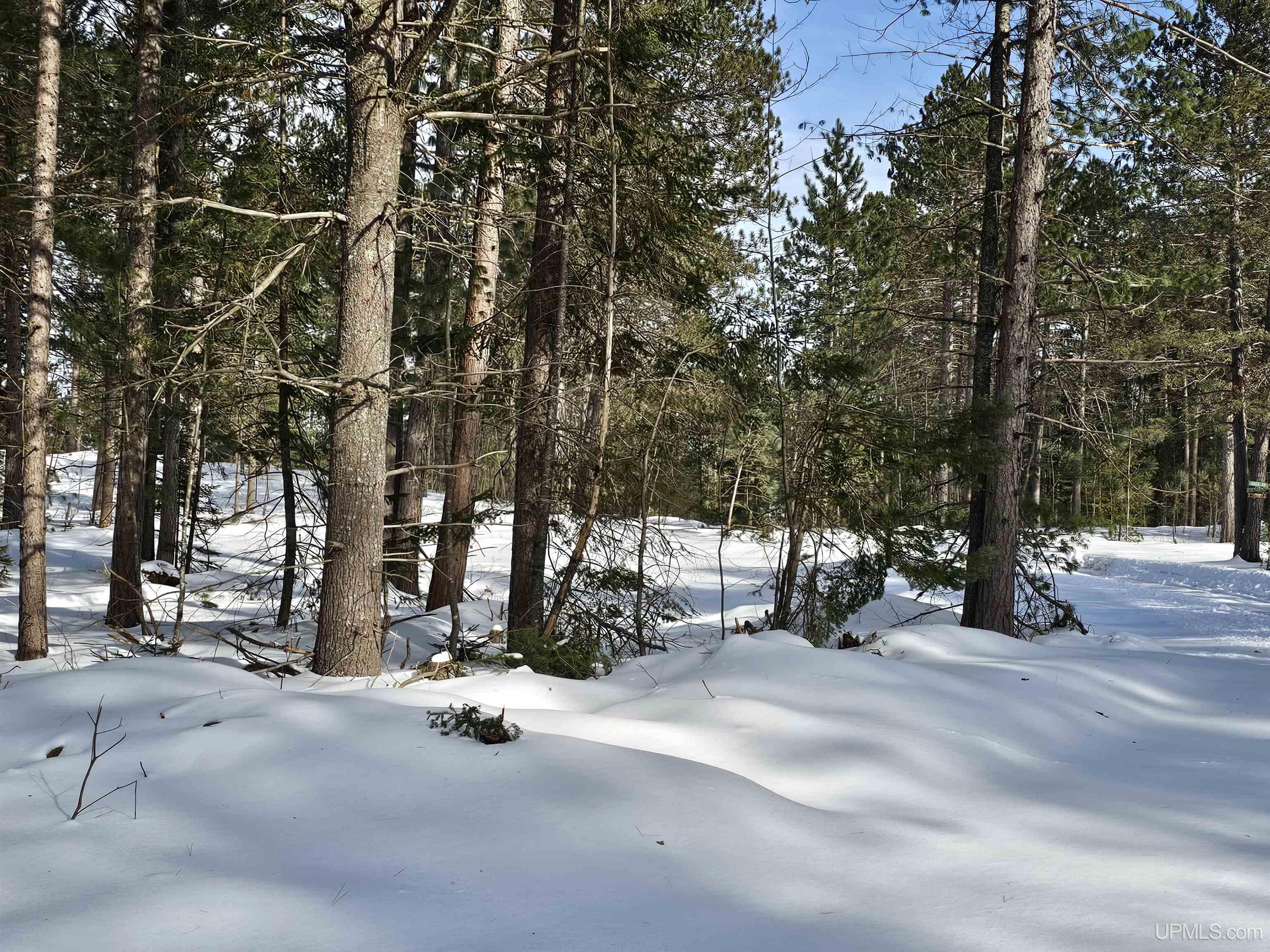 tbd 220 Acres Off Co Rd Cf Road, Ishpeming, MI, 49849
