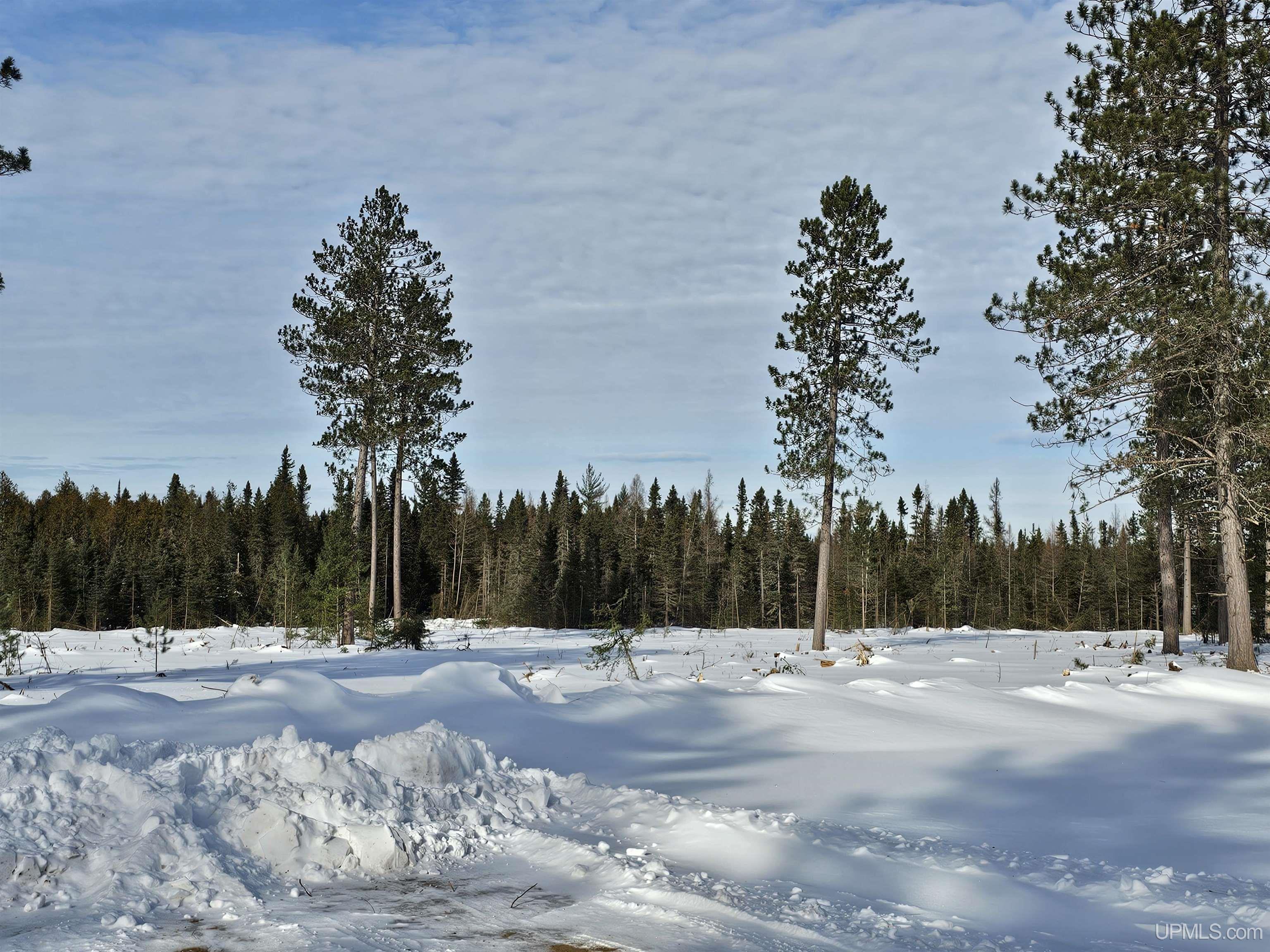 tbd 220 Acres Off Co Rd Cf Road, Ishpeming, MI, 49849