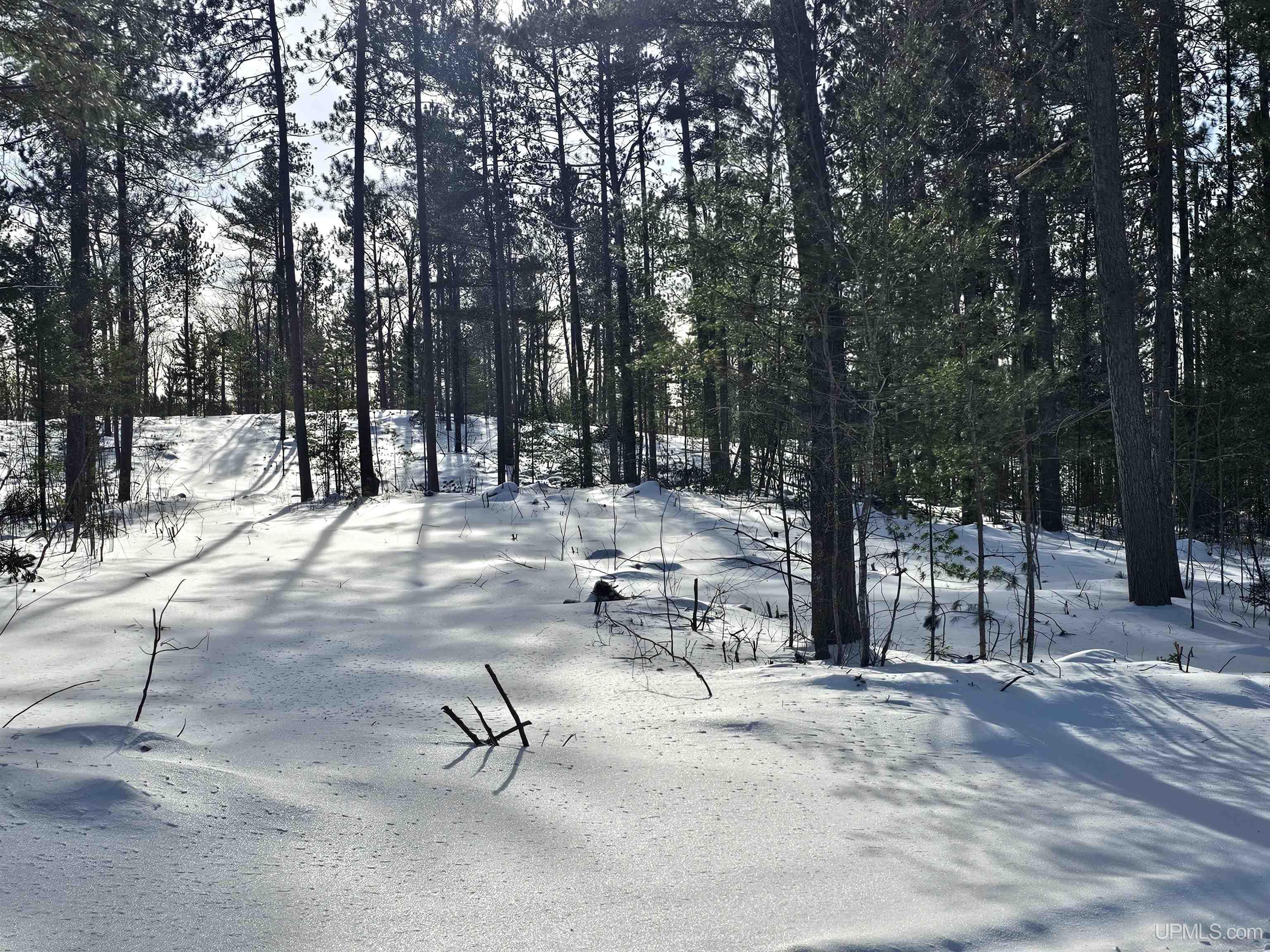tbd 220 Acres Off Co Rd Cf Road, Ishpeming, MI, 49849