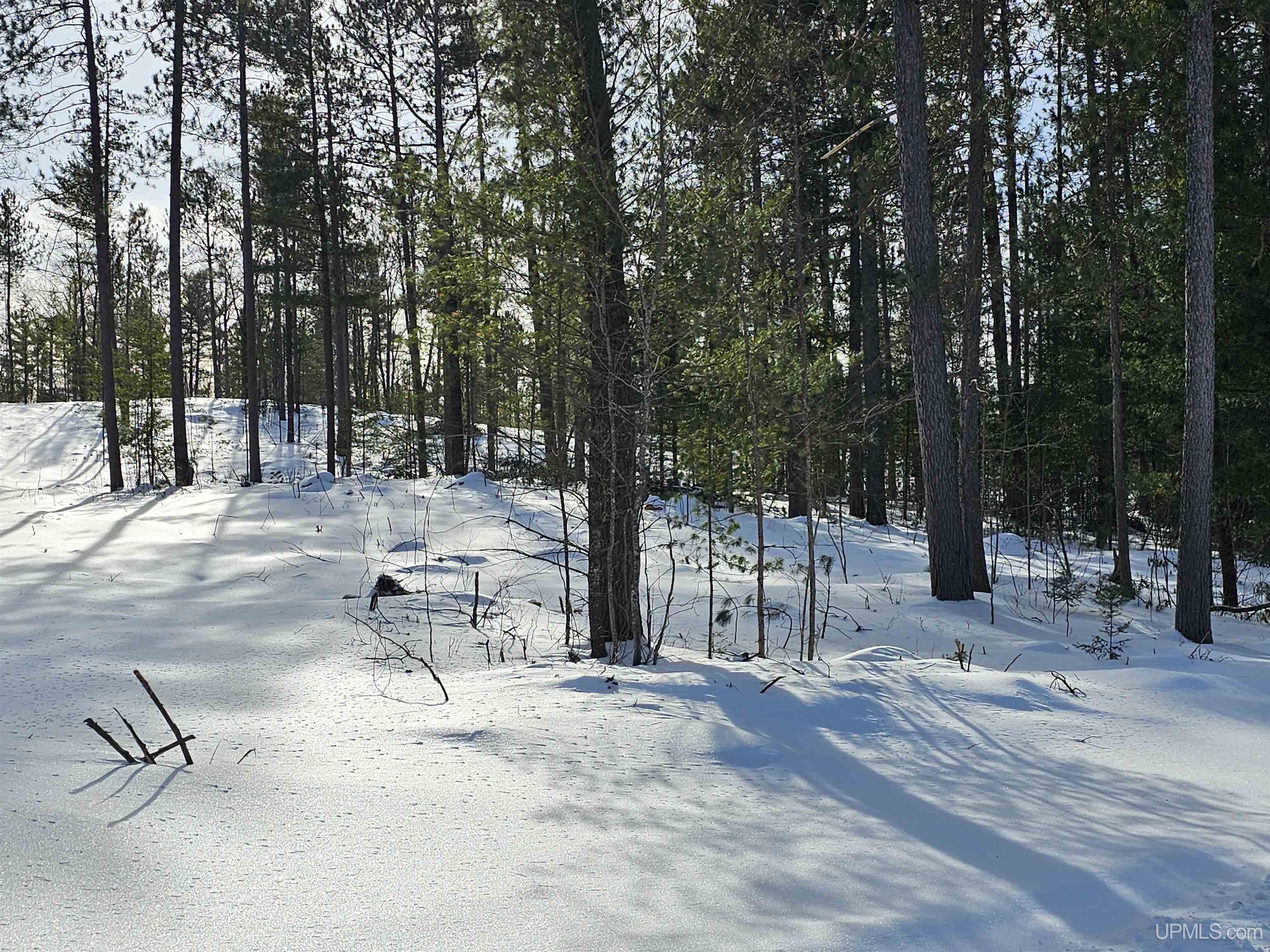 tbd 220 Acres Off Co Rd Cf Road, Ishpeming, MI, 49849