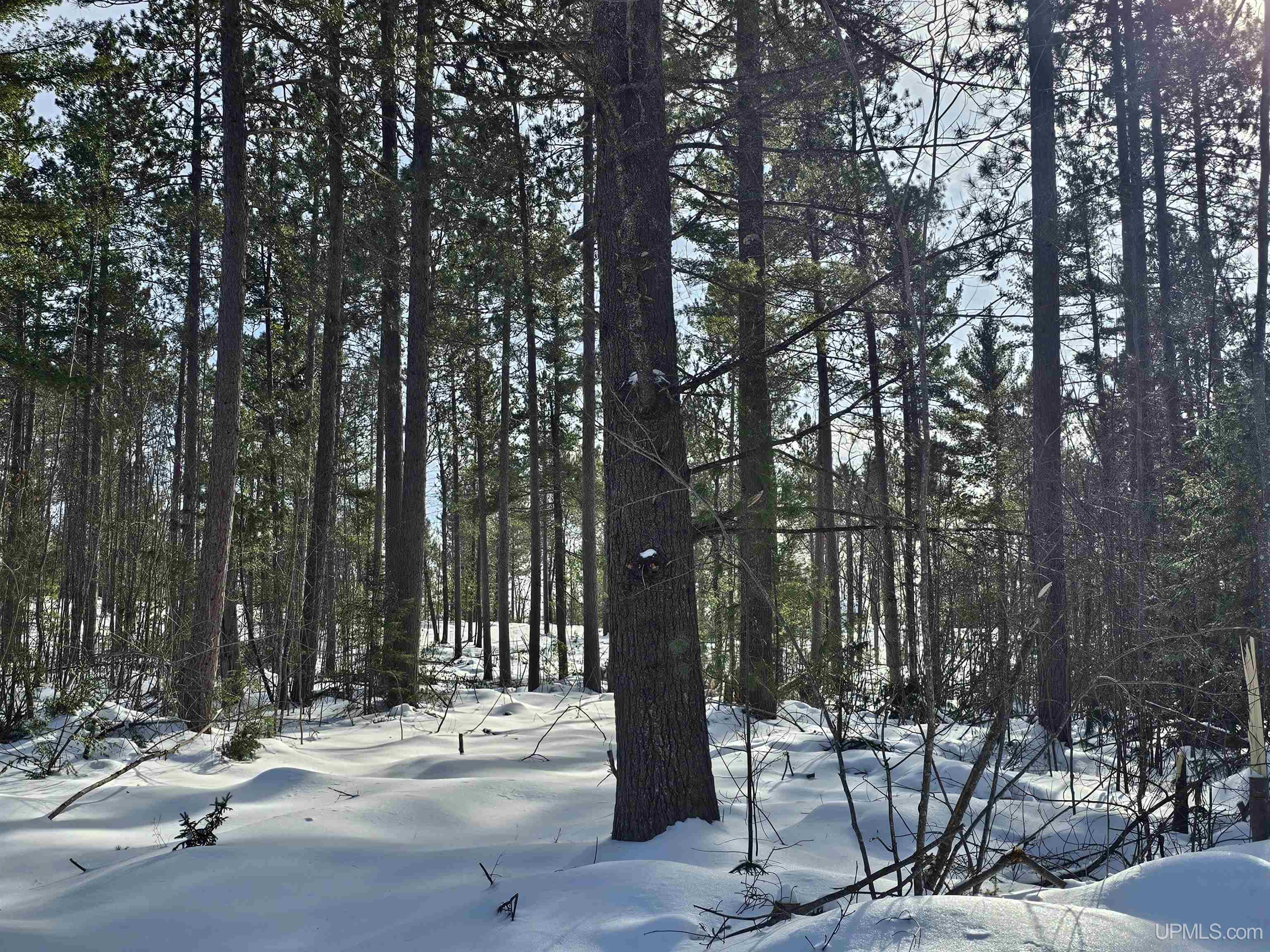 tbd 220 Acres Off Co Rd Cf Road, Ishpeming, MI, 49849