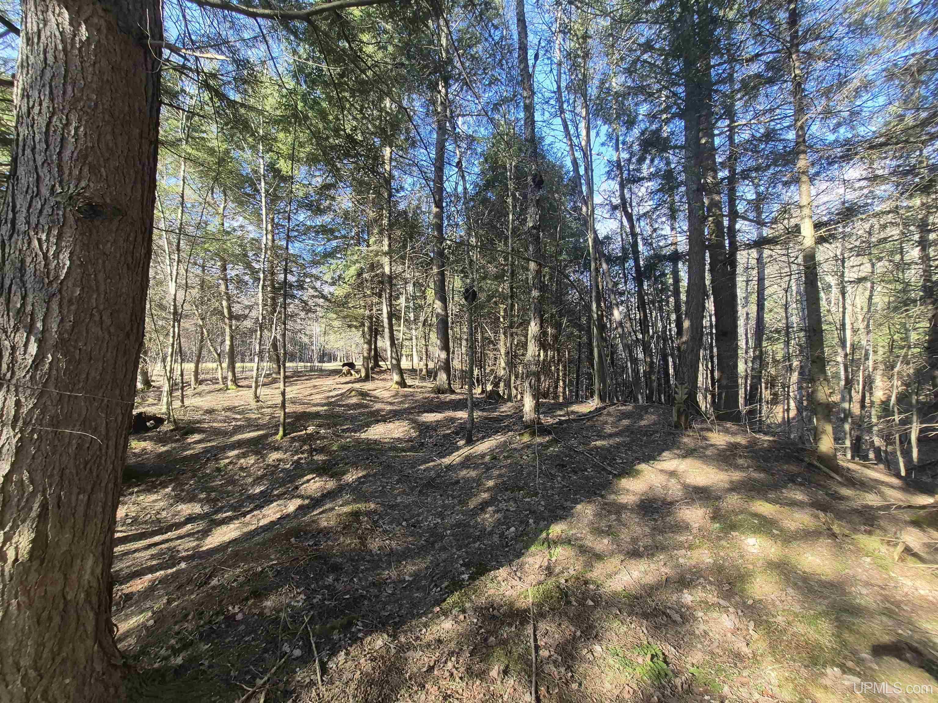MLS 50206827 Large photo number 66 