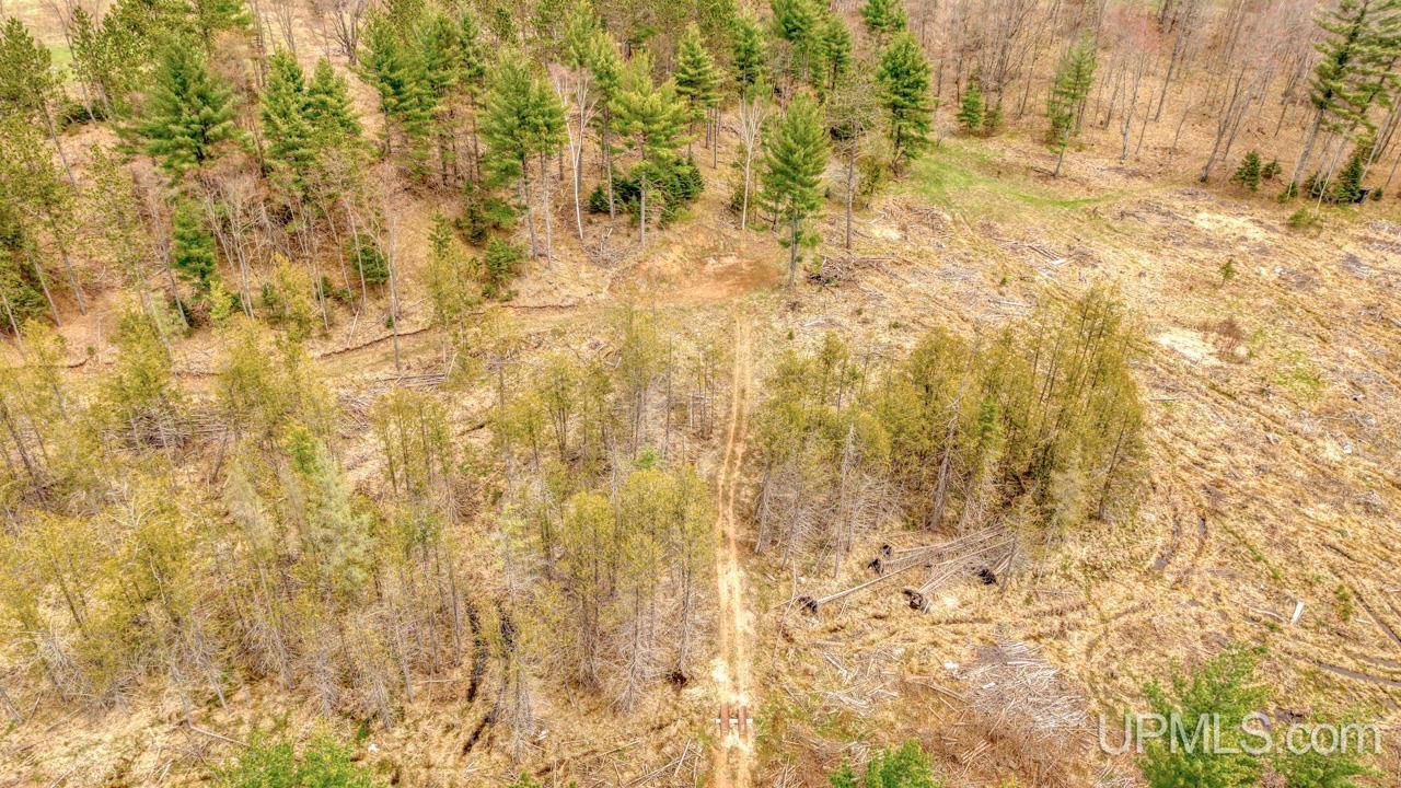 N2069 Stone Cliff Drive, Vulcan, MI, 49870