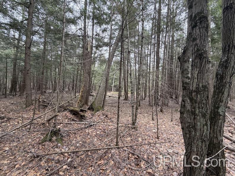 TBD K Road, Bark River, MI, 49807