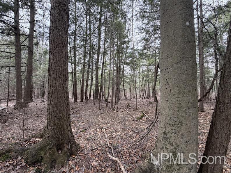 TBD K Road, Bark River, MI, 49807