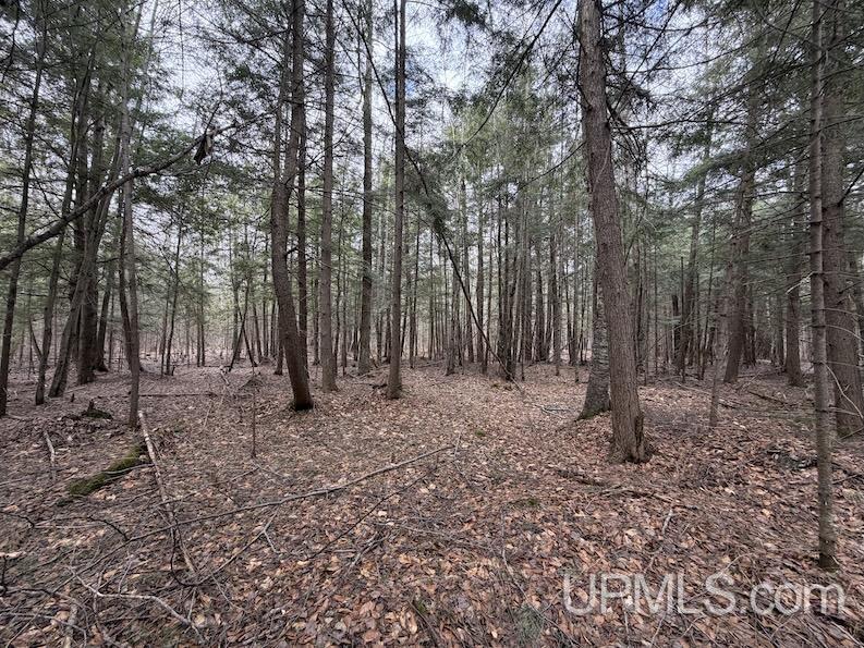TBD K Road, Bark River, MI, 49807