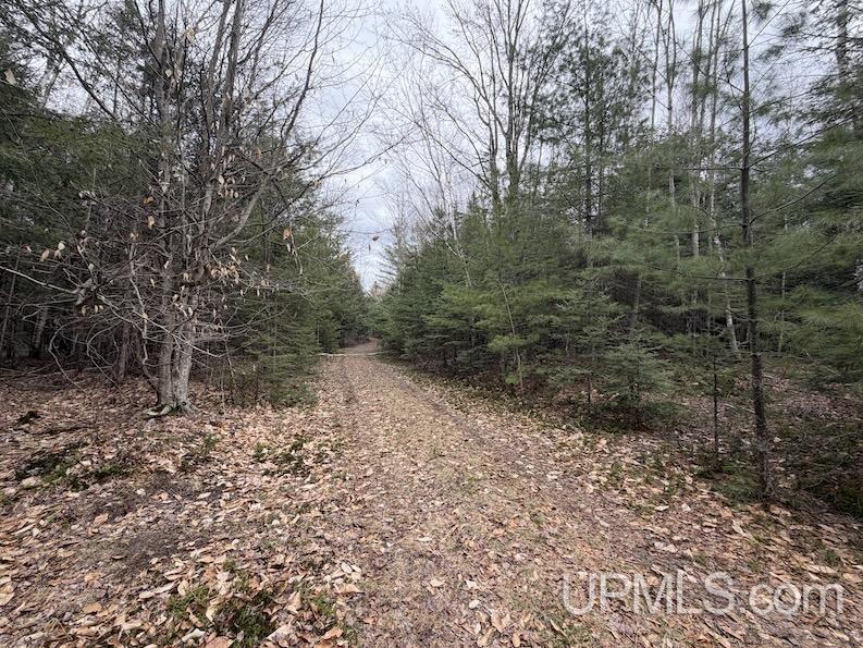 TBD K Road, Bark River, MI, 49807
