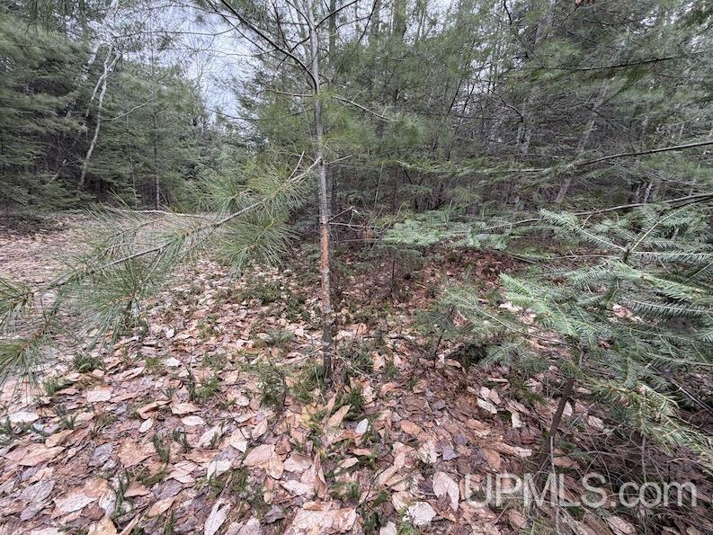 TBD K Road, Bark River, MI, 49807