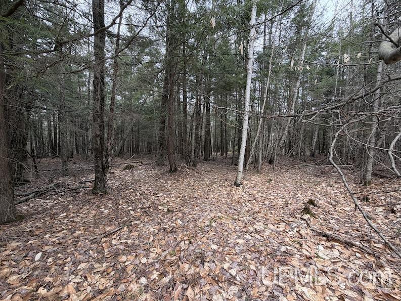 TBD K Road, Bark River, MI, 49807