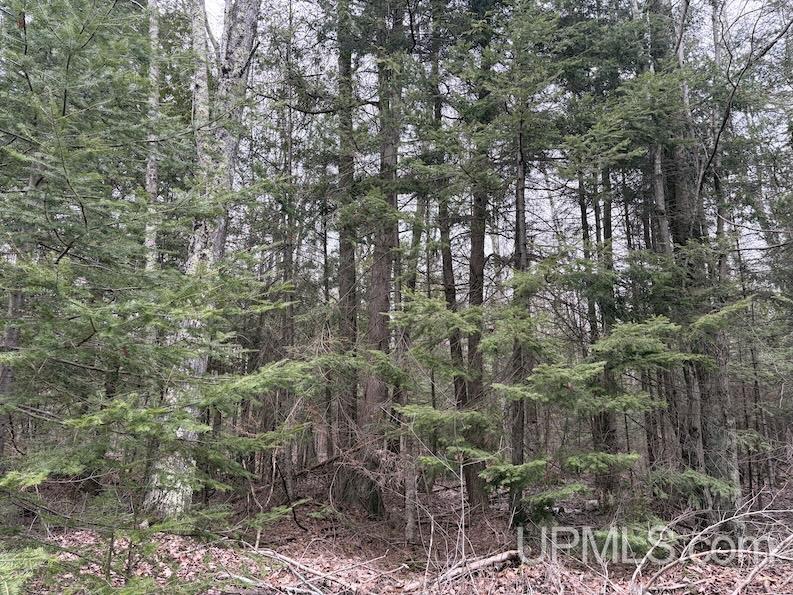 TBD K Road, Bark River, MI, 49807