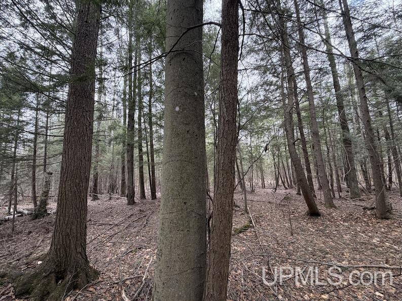 TBD K Road, Bark River, MI, 49807