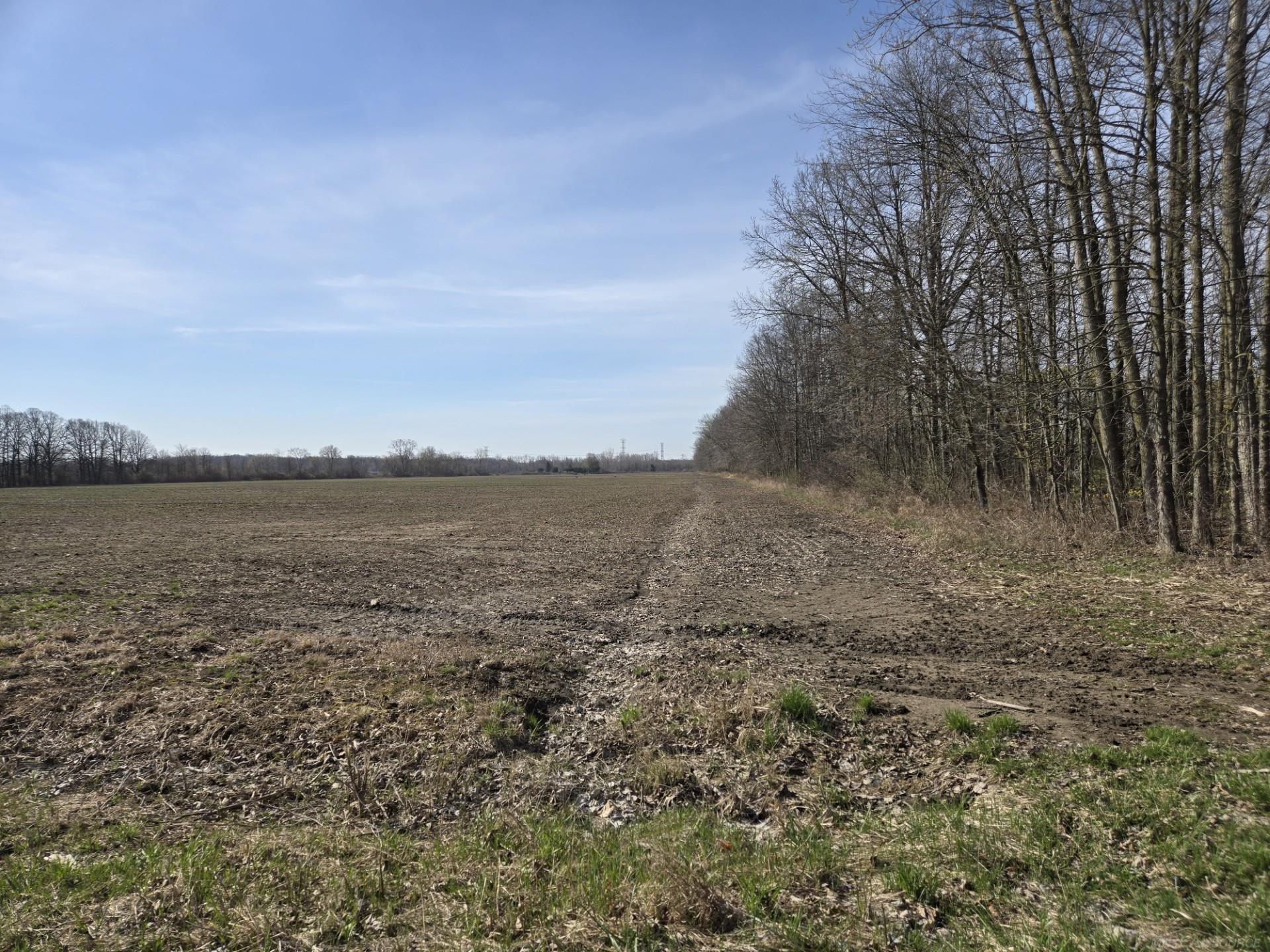 0 Meskill (Lot C) Road, Richmond Twp, MI, 48063