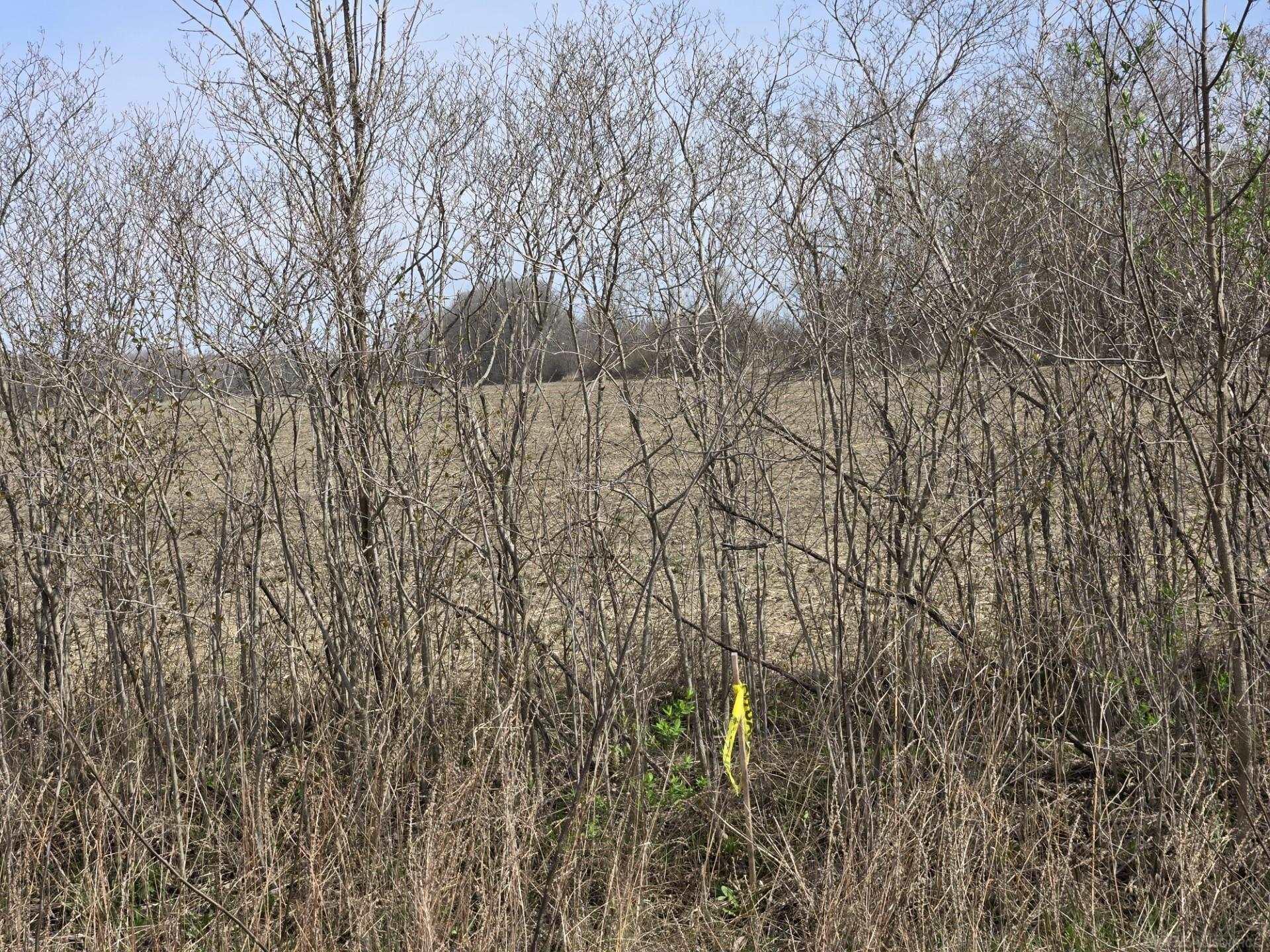 0 Meskill (Lot C) Road, Richmond Twp, MI, 48063