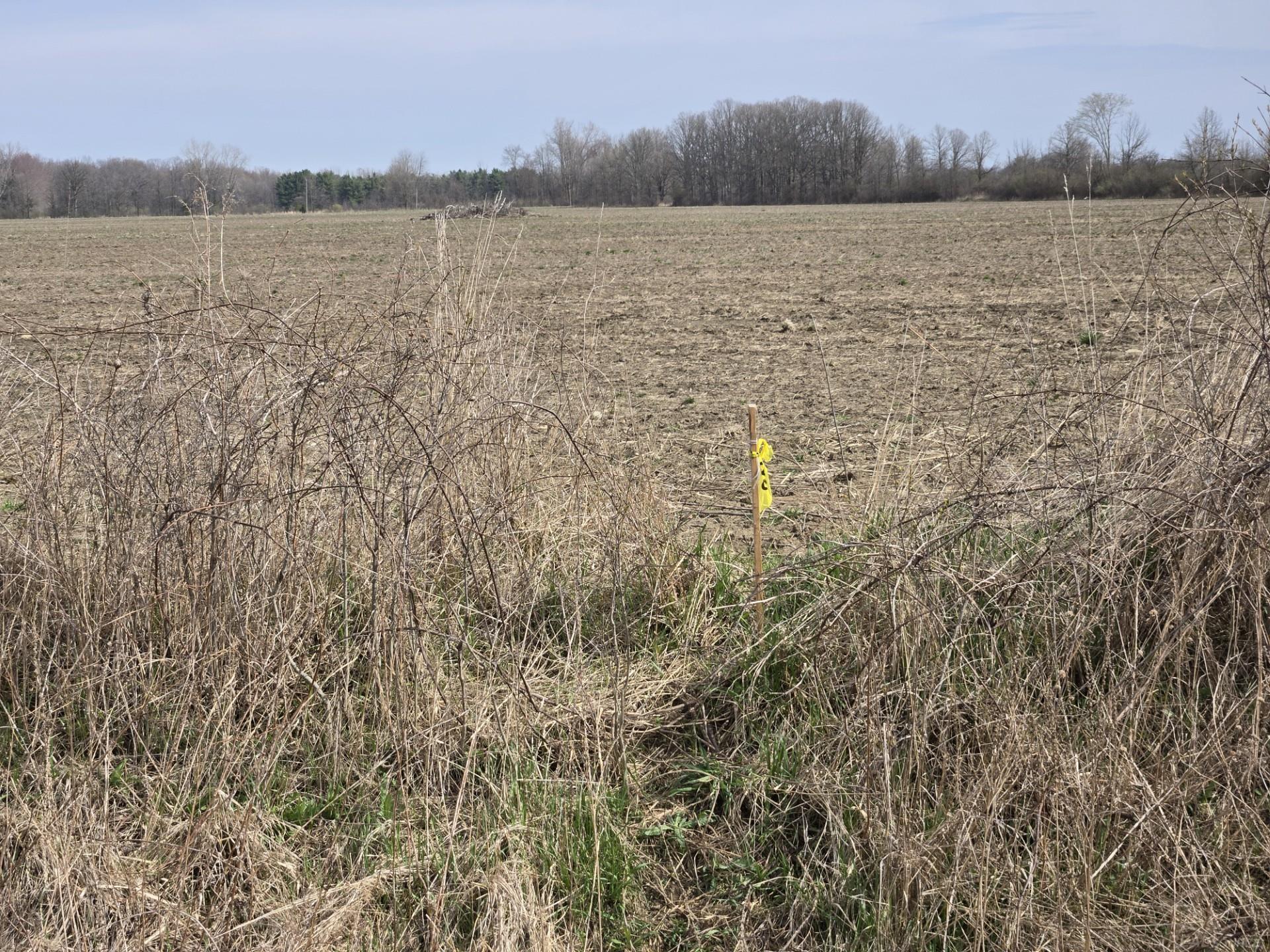 0 Meskill (Lot C) Road, Richmond Twp, MI, 48063