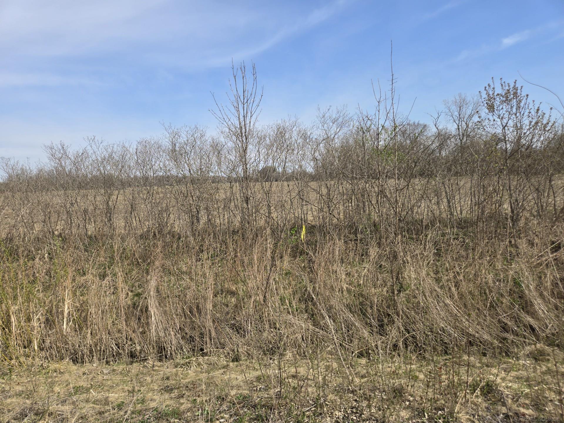 0 Meskill (Lot C) Road, Richmond Twp, MI, 48063
