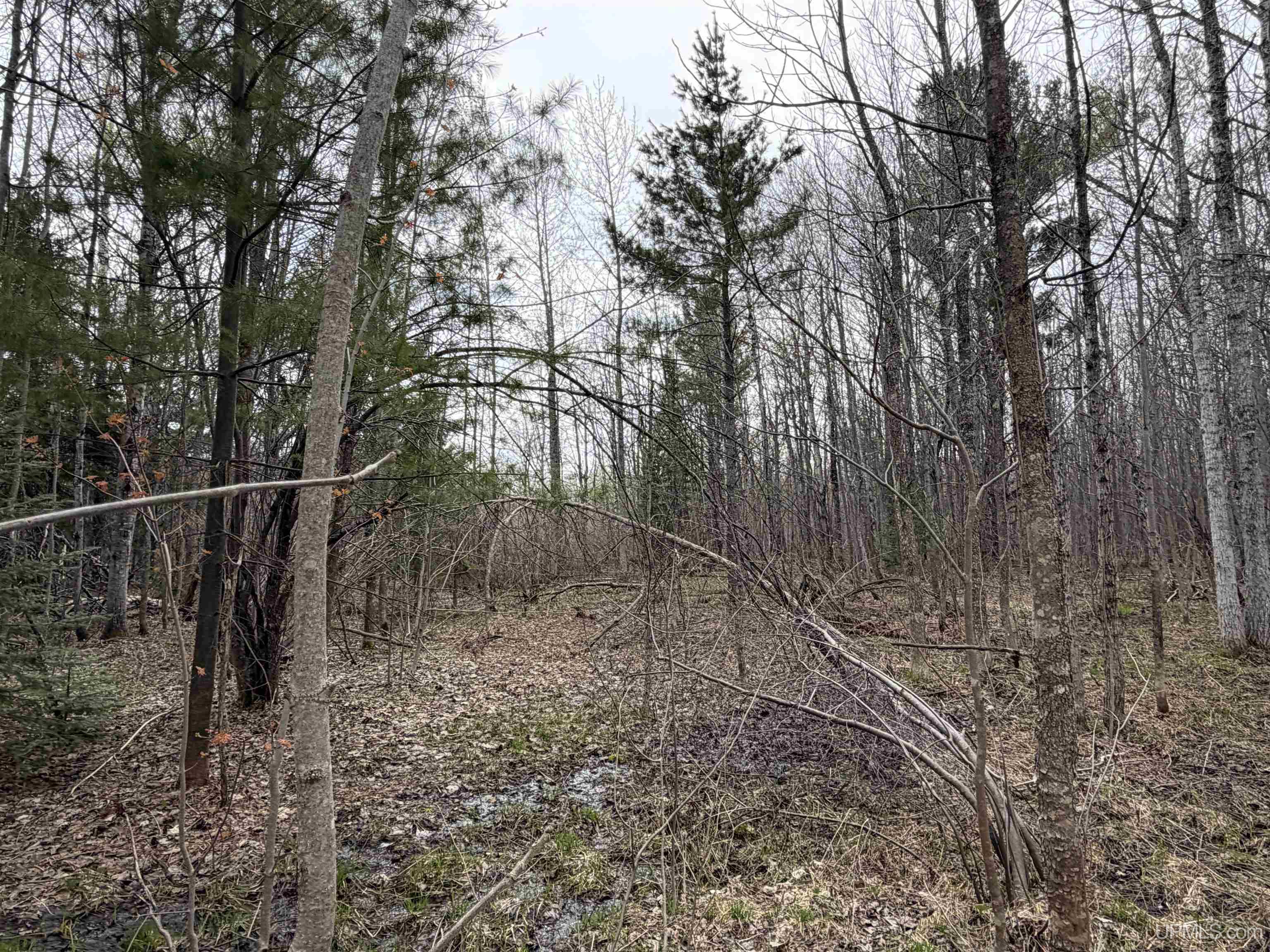 TBD10 off US45 Rockland Highway, Rockland, MI, 49953